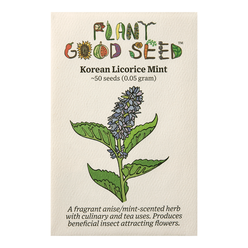 Korean Licorice Mint Seeds The Plant Good Seed Company