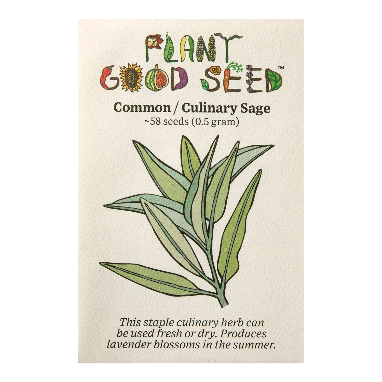 plant sage from seed Garden Sage Seeds
