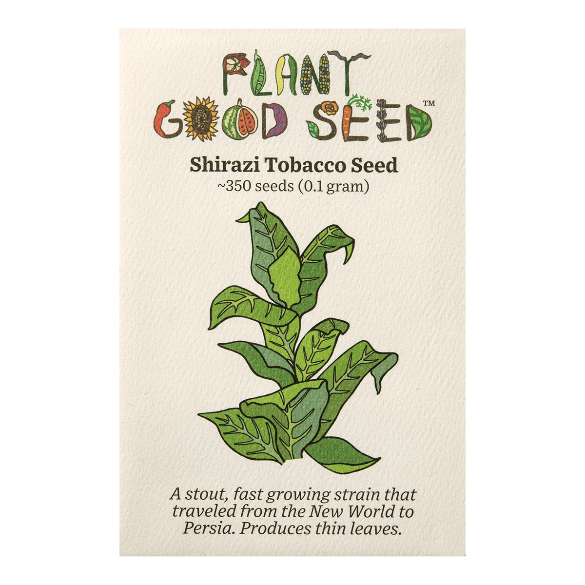 Shirazi Tobacco Seed
