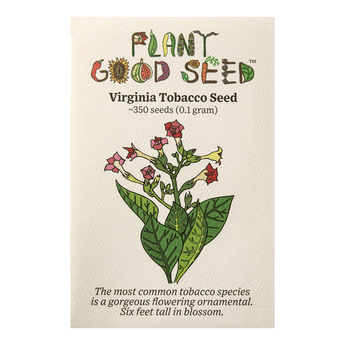 Virginia Tobacco Seed (Tabacum species)
