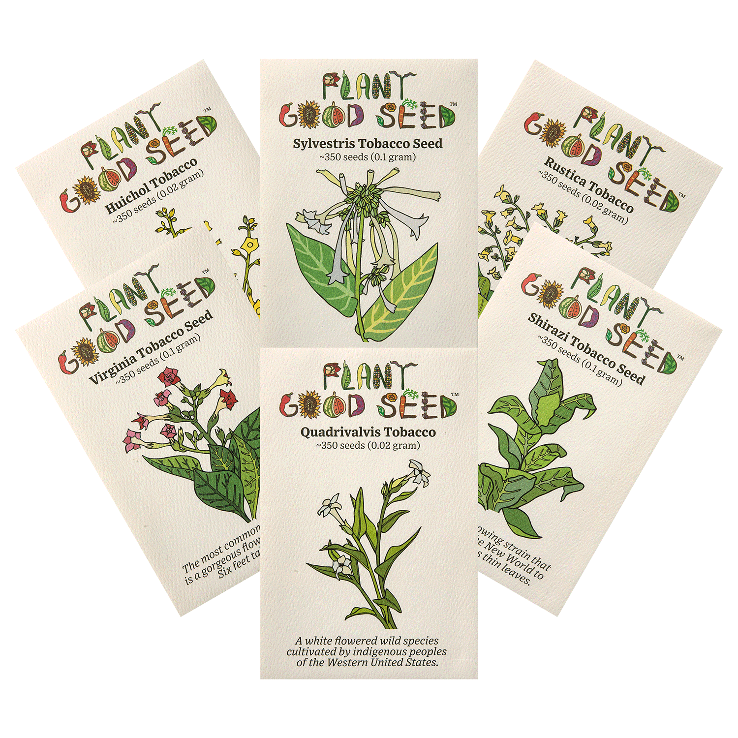 pipe tobacco seeds for sale Tobacco Seed Collection - Six Packets pipe tobacco seeds for sale Tobacco Seed Collection - Six Packets
