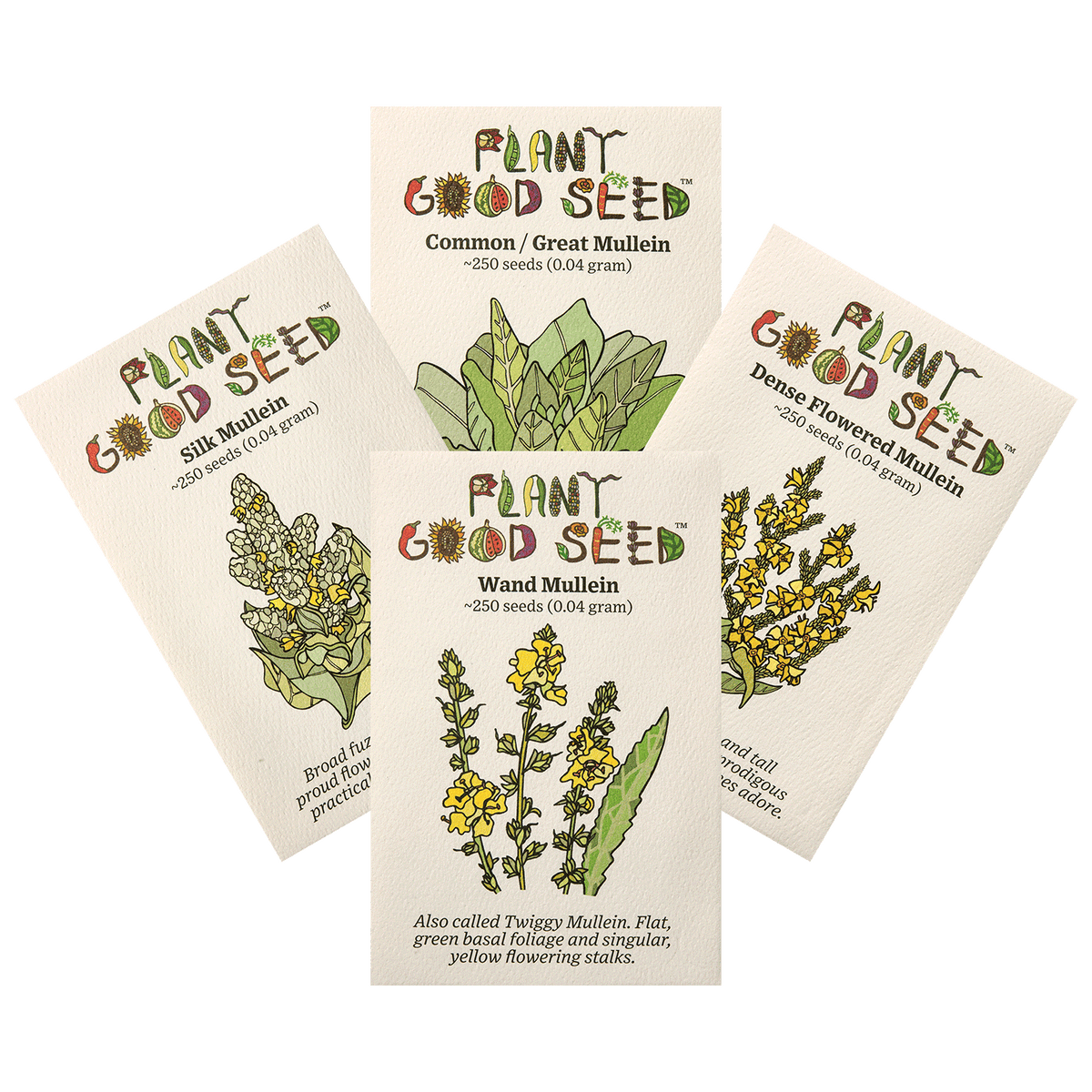 Mullein Seed Collection - Four Packets
