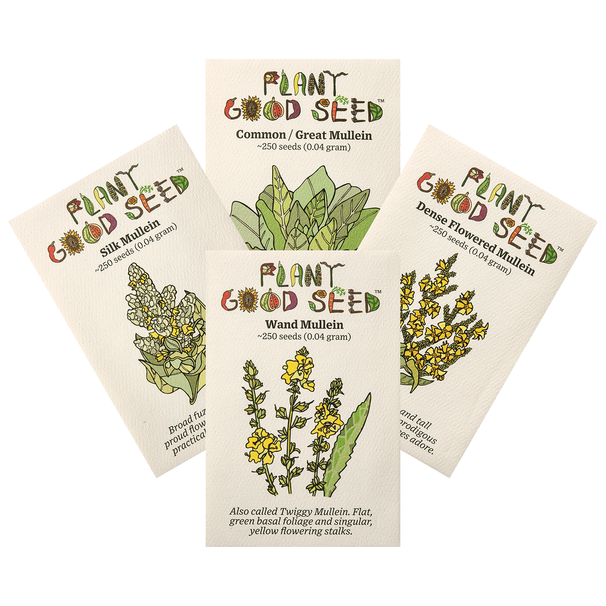 Mullein Seed Collection