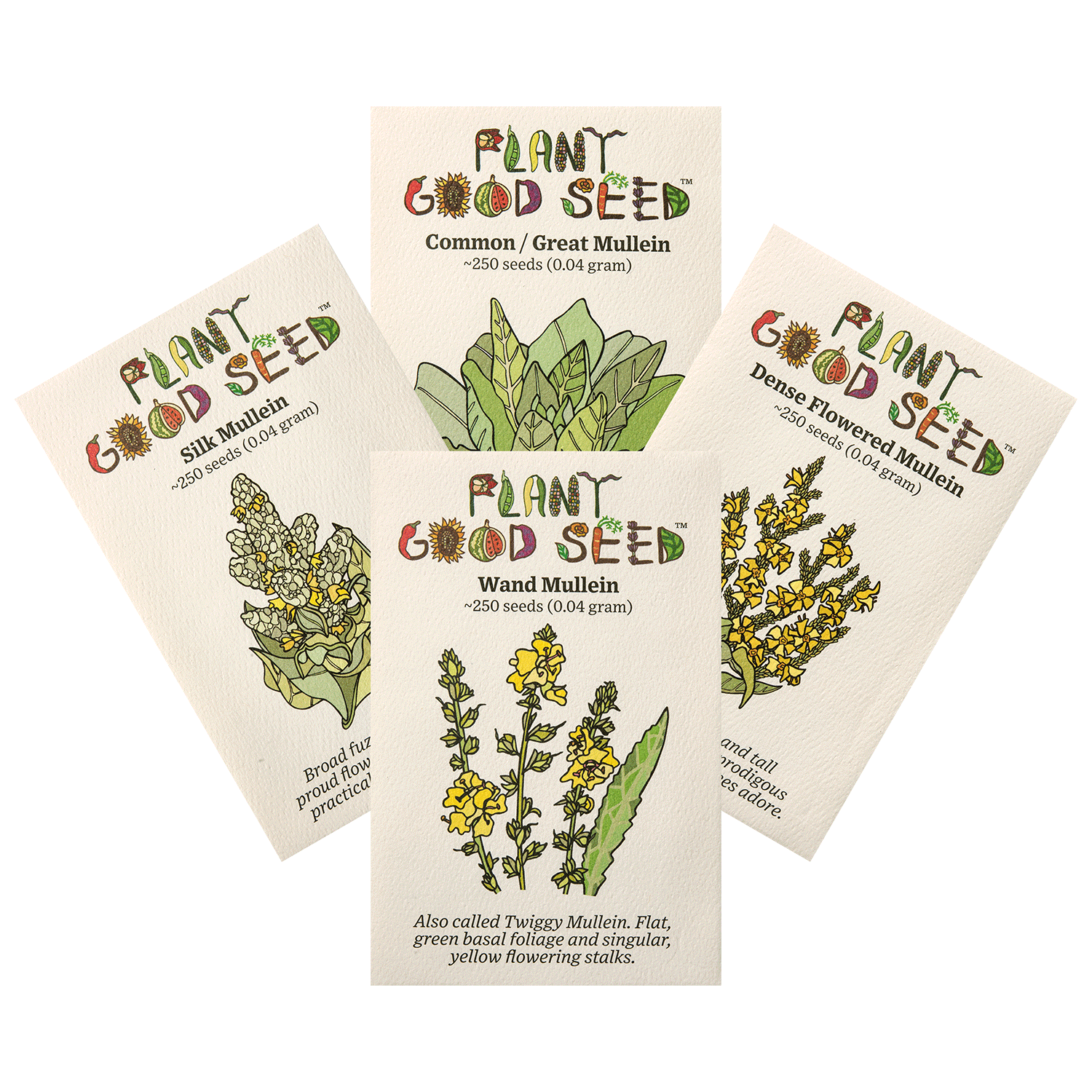 Mullein Seed Collection