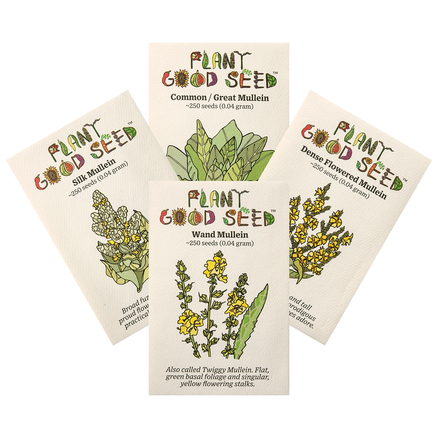 mullein plant seeds for sale Mullein Seed Collection