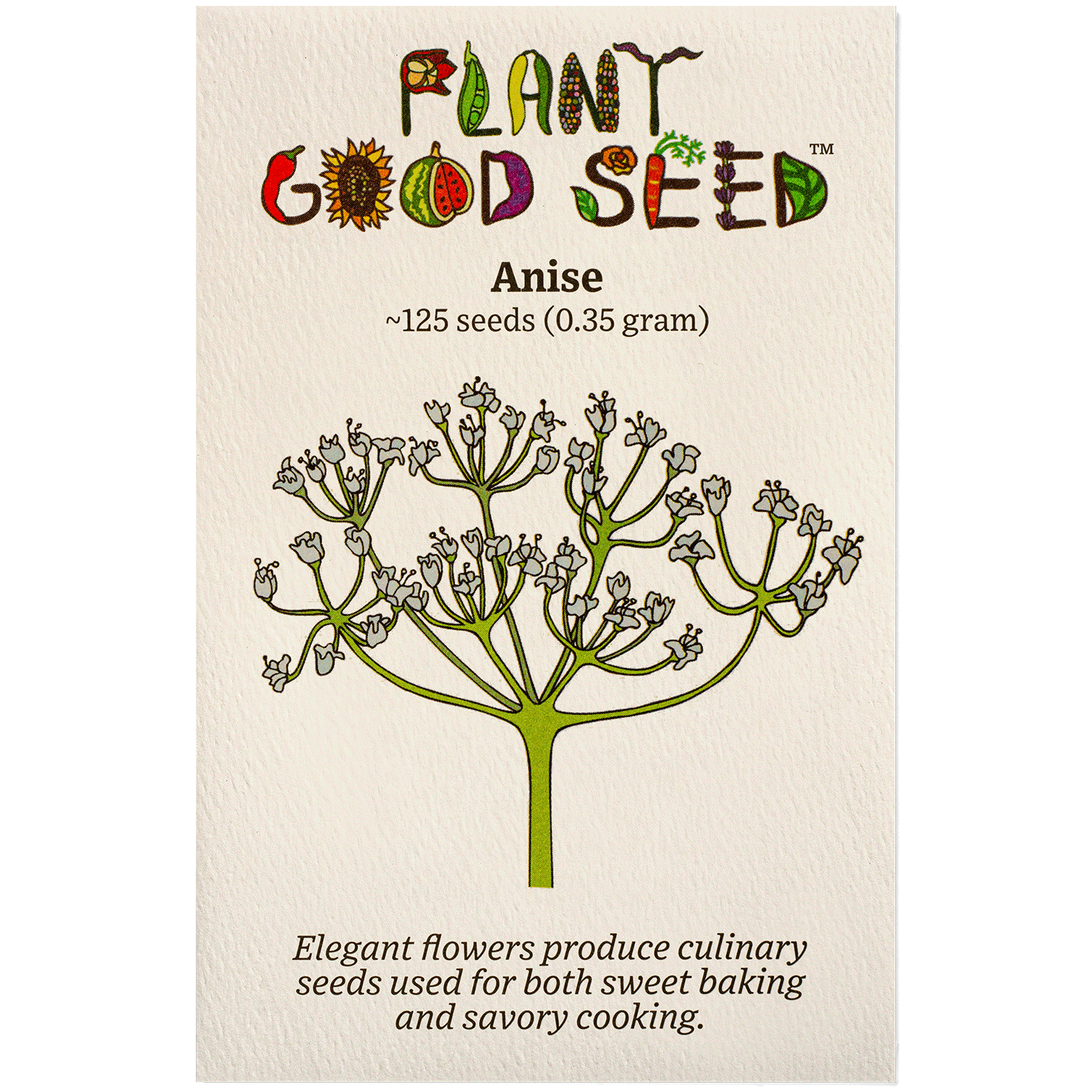 where to buy anise seeds for planting Maltese Anise seeds Packet: 125 seeds (0.35 gram)