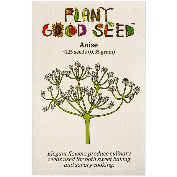 Anise Seeds The Plant Good Seed Company