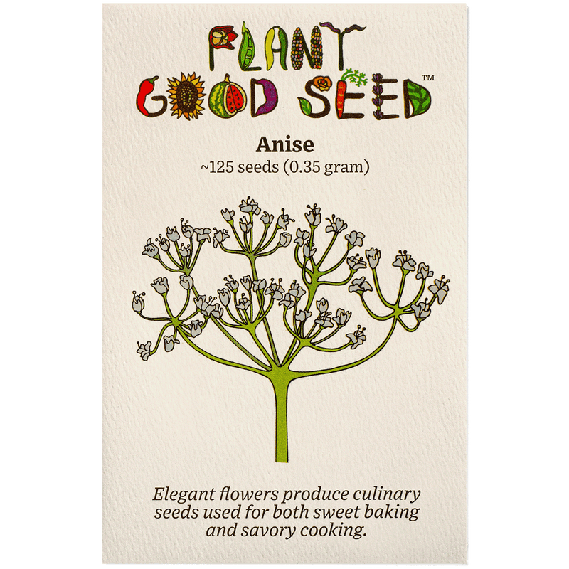 Anise Seeds The Plant Good Seed Company