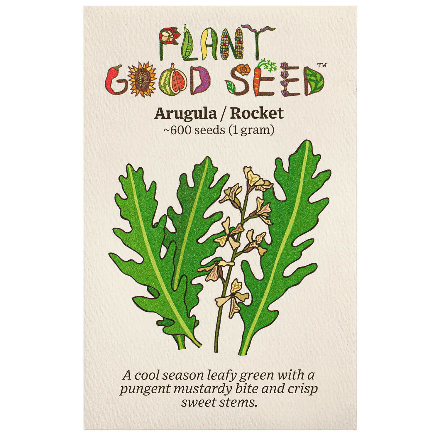 arugula plant seeds Assorted Vegetable Seeds Astro Arugula
