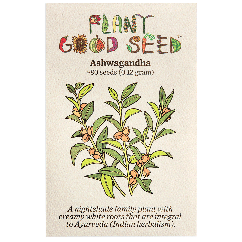 ashwagandha plant seeds online Ashwaganda Seeds