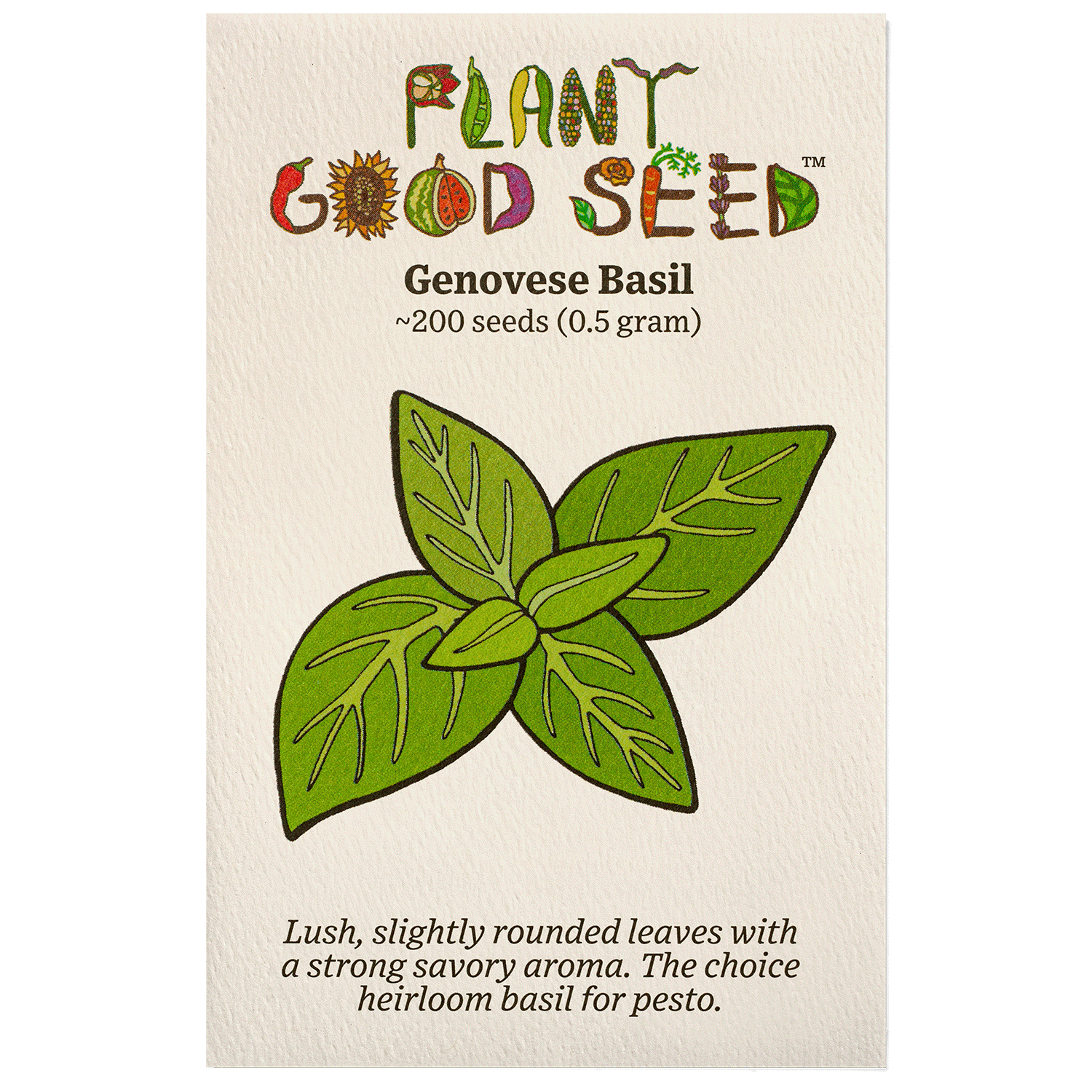 planting genovese basil seeds Genovese Basil Seeds