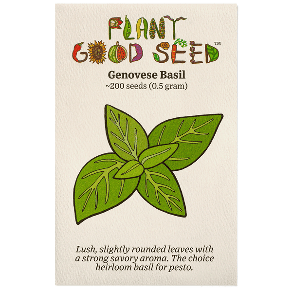 Genovese Basil Seeds The Plant Good Seed Company