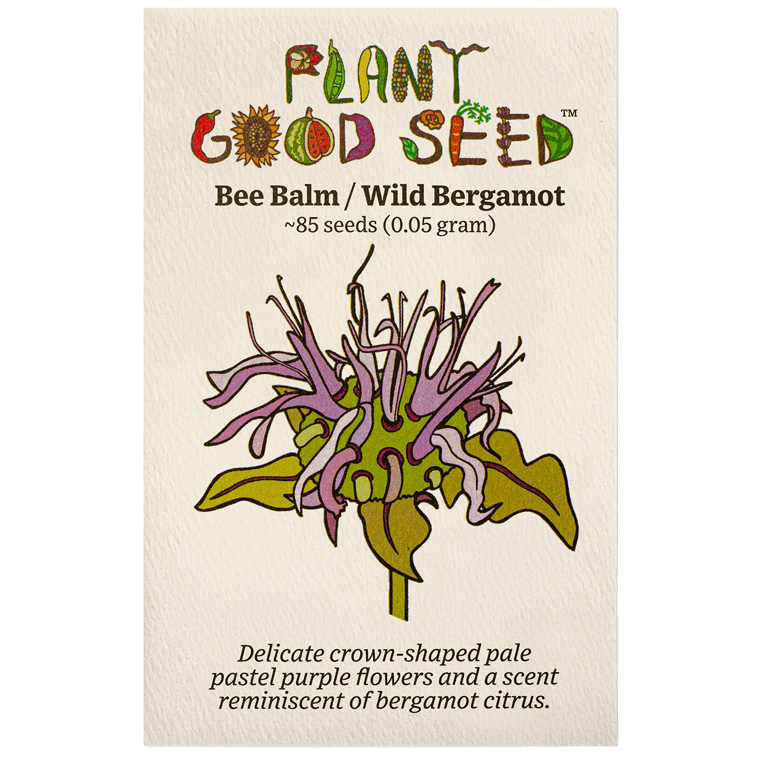 bergamot flower seeds Plant Good Seed Bee Balm / Wild Bergamot Seeds