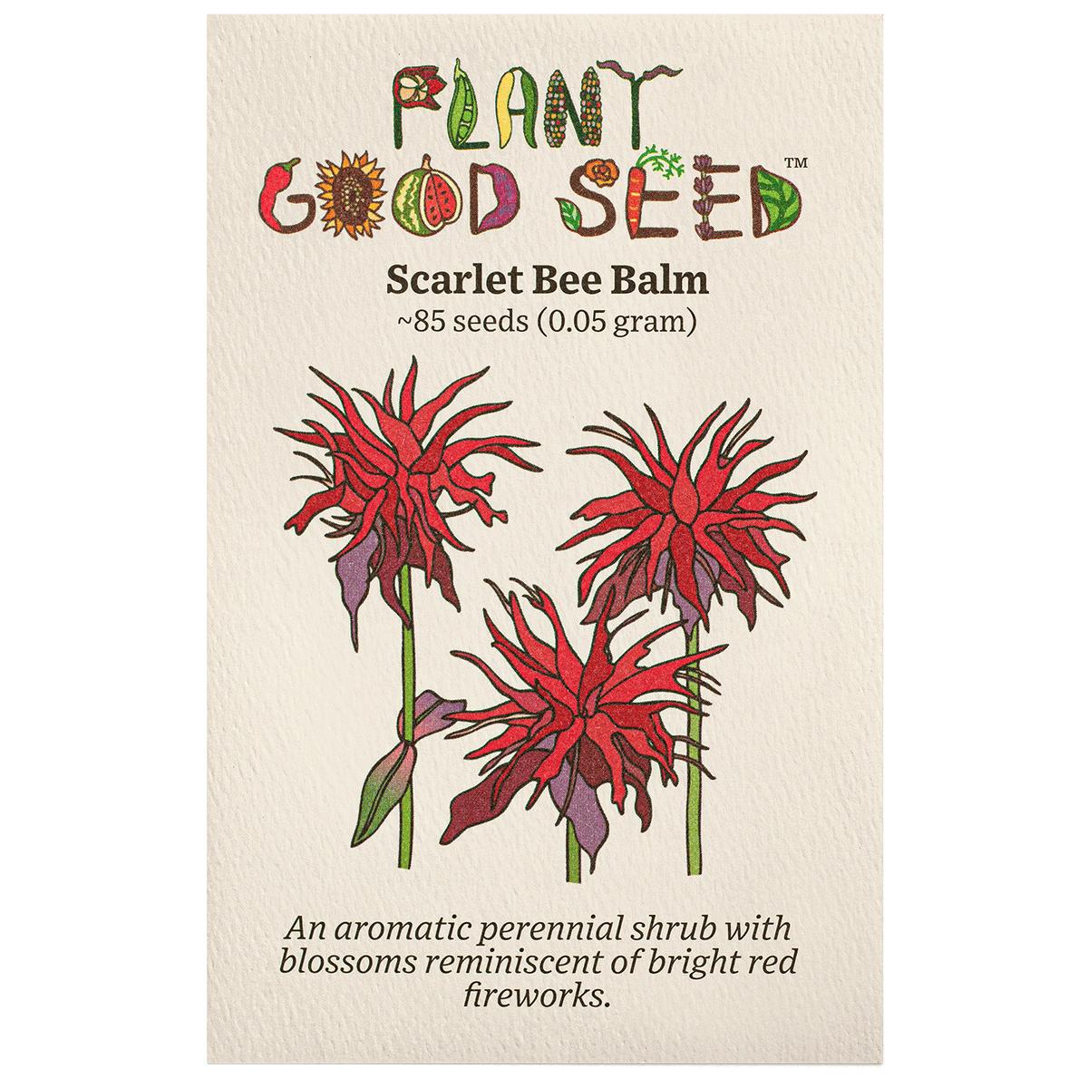 Scarlet Bee Balm