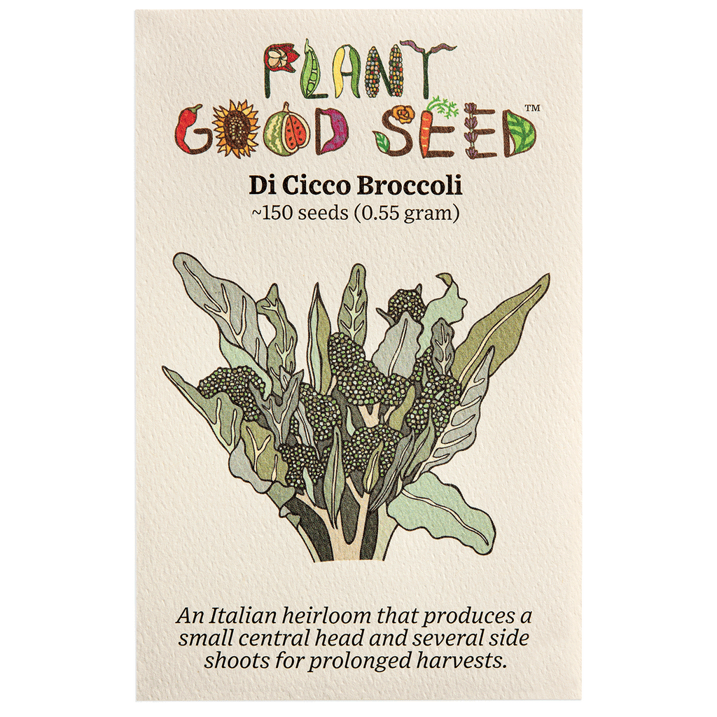 broccoli flower seeds Di Ciccio Sprouting Broccoli