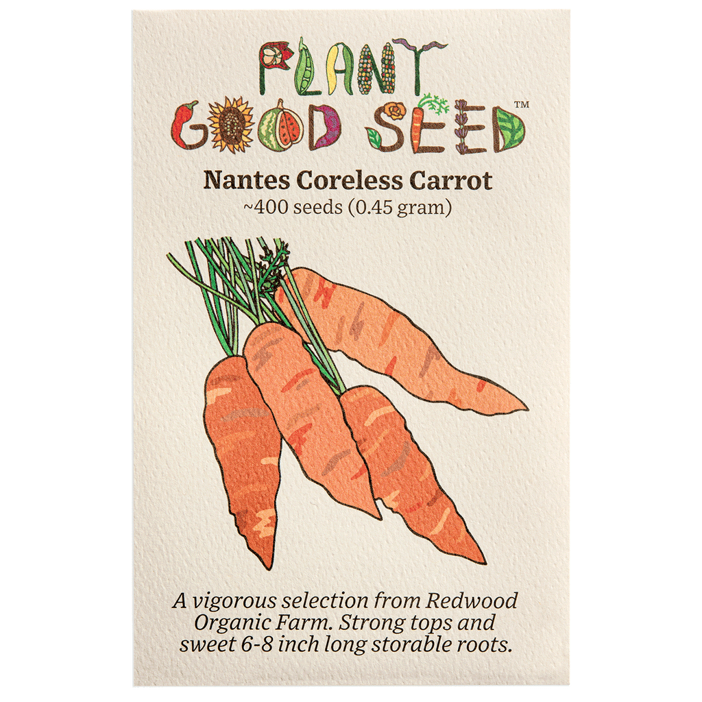 planting nantes carrot seeds Nantes Coreless Carrot