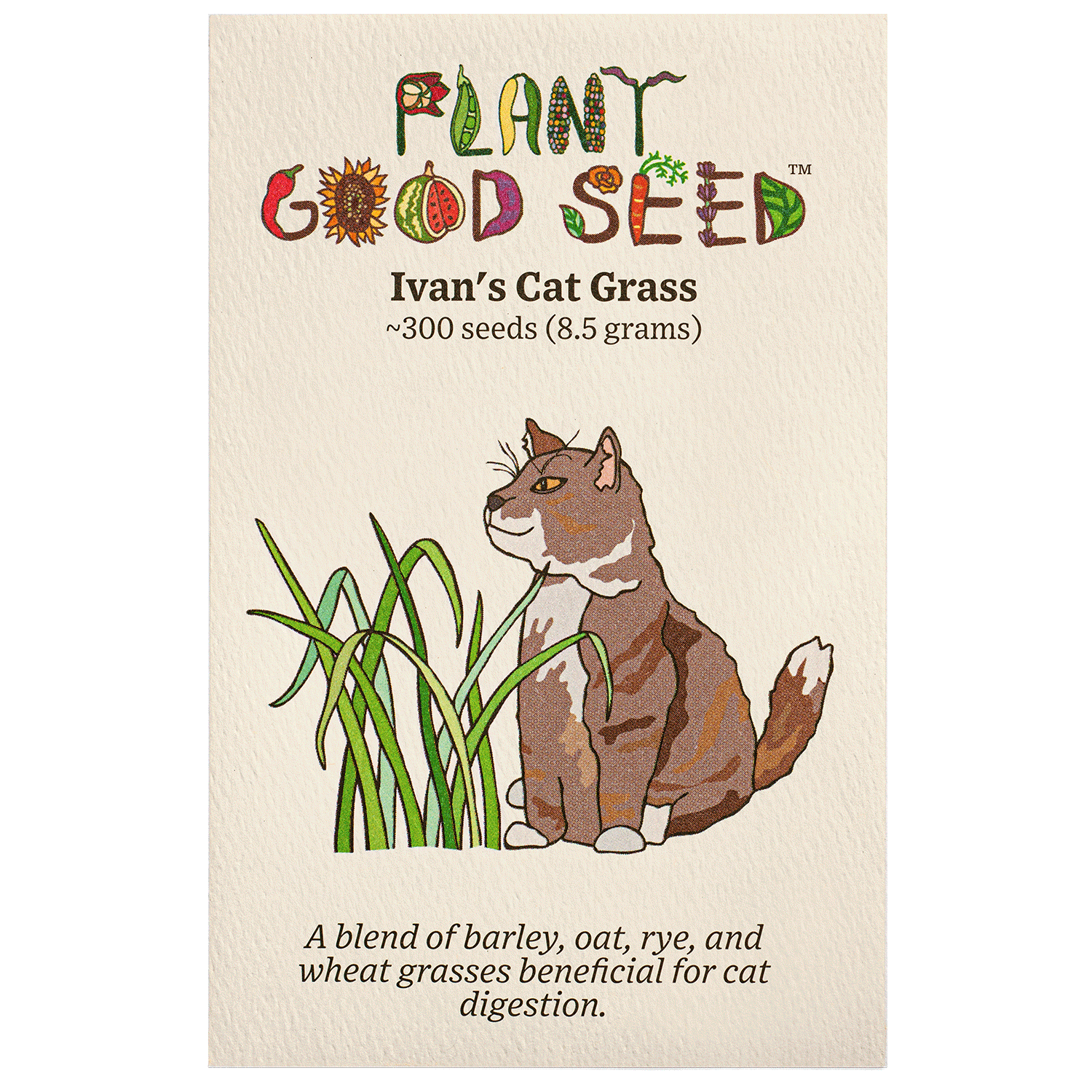 planting cat grass seeds Ivan's Cat Grass Seeds