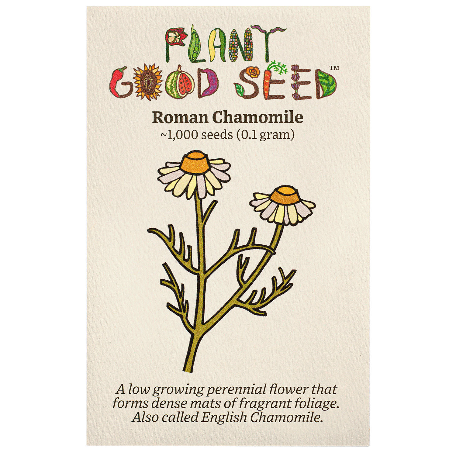 chamomile seed to flower Roman Chamomile Seeds BULK: 1 gram