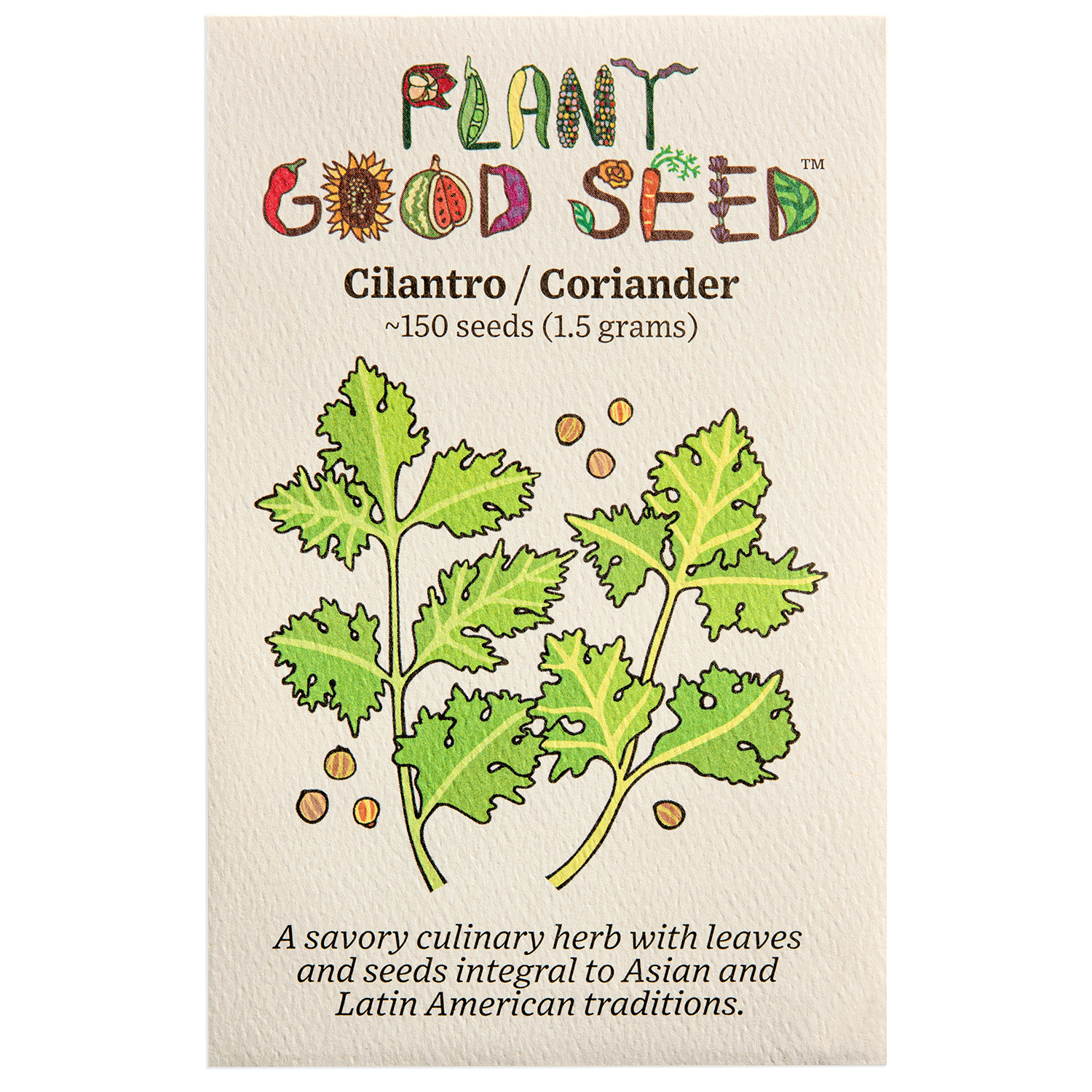 coriander plant seeds Cilantro Seeds