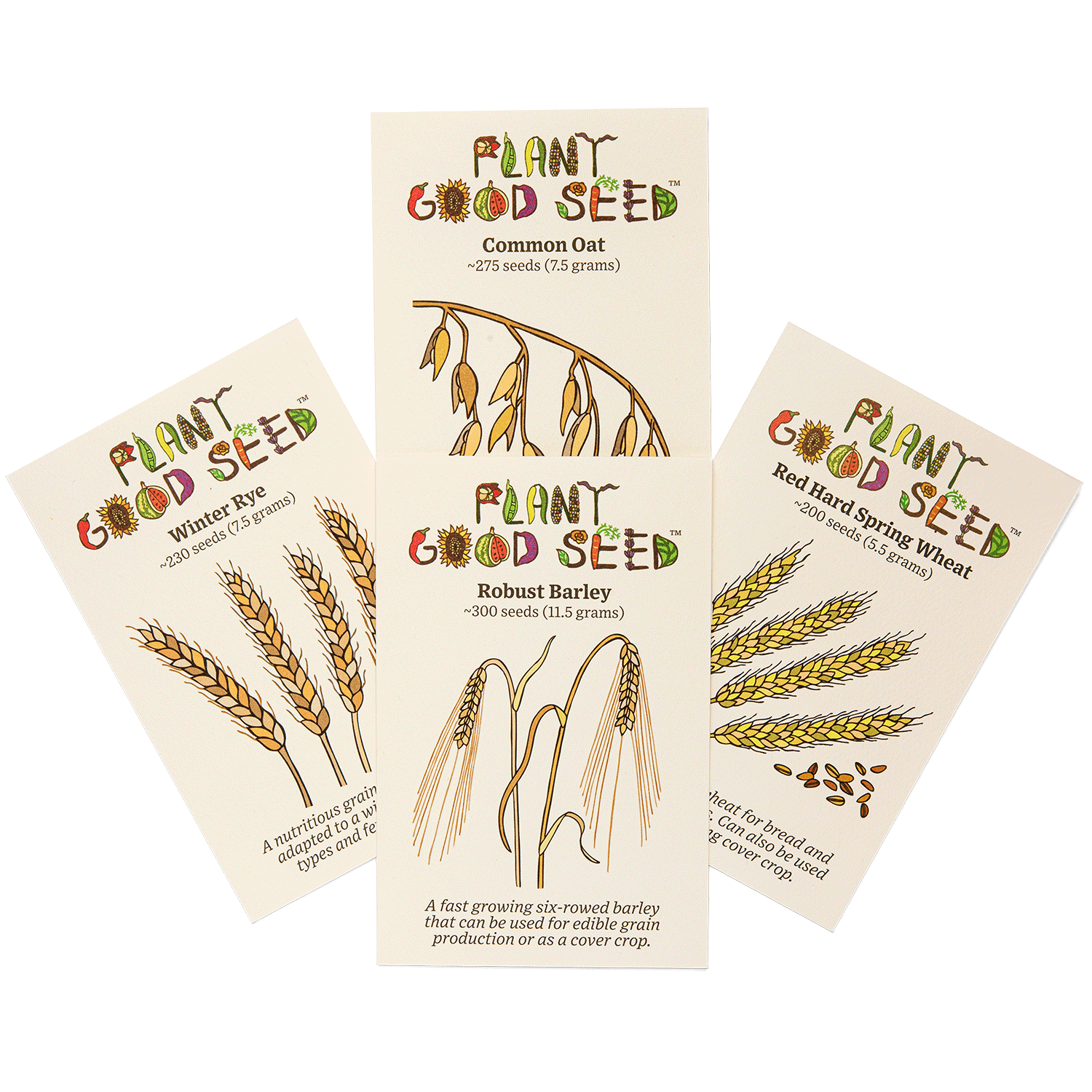 Great Grains Seed Collection Four Packets The Plant Good Seed Company