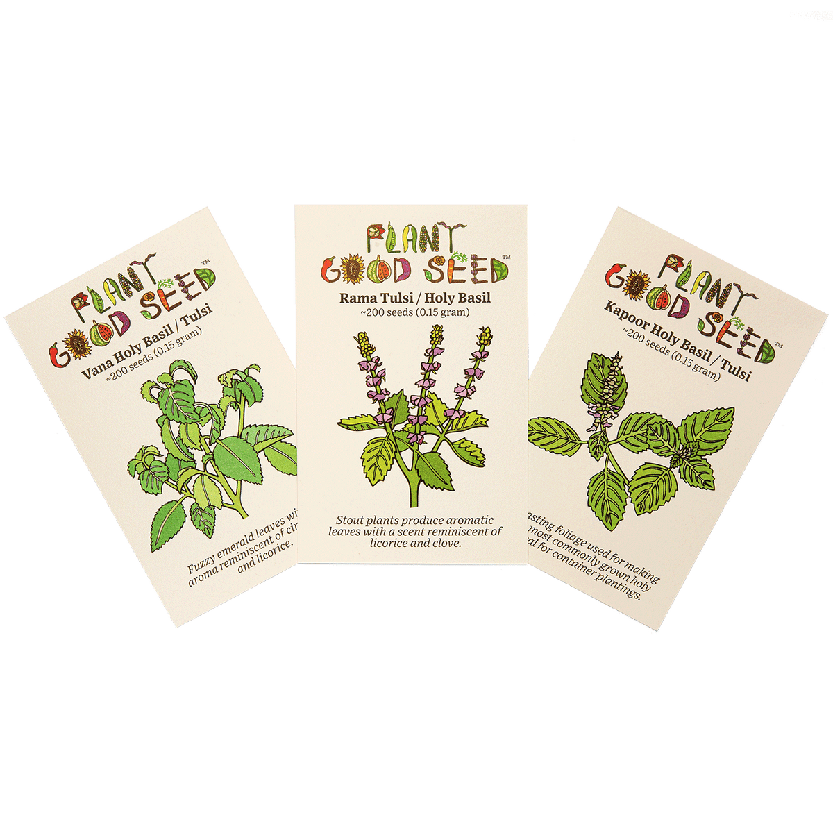 Holy Basil / Tulsi Seed Collection - Three Packets