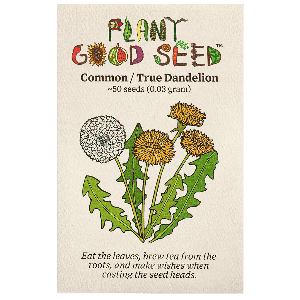 dandelion plant seeds True (Common/Wild) Dandelion Seeds