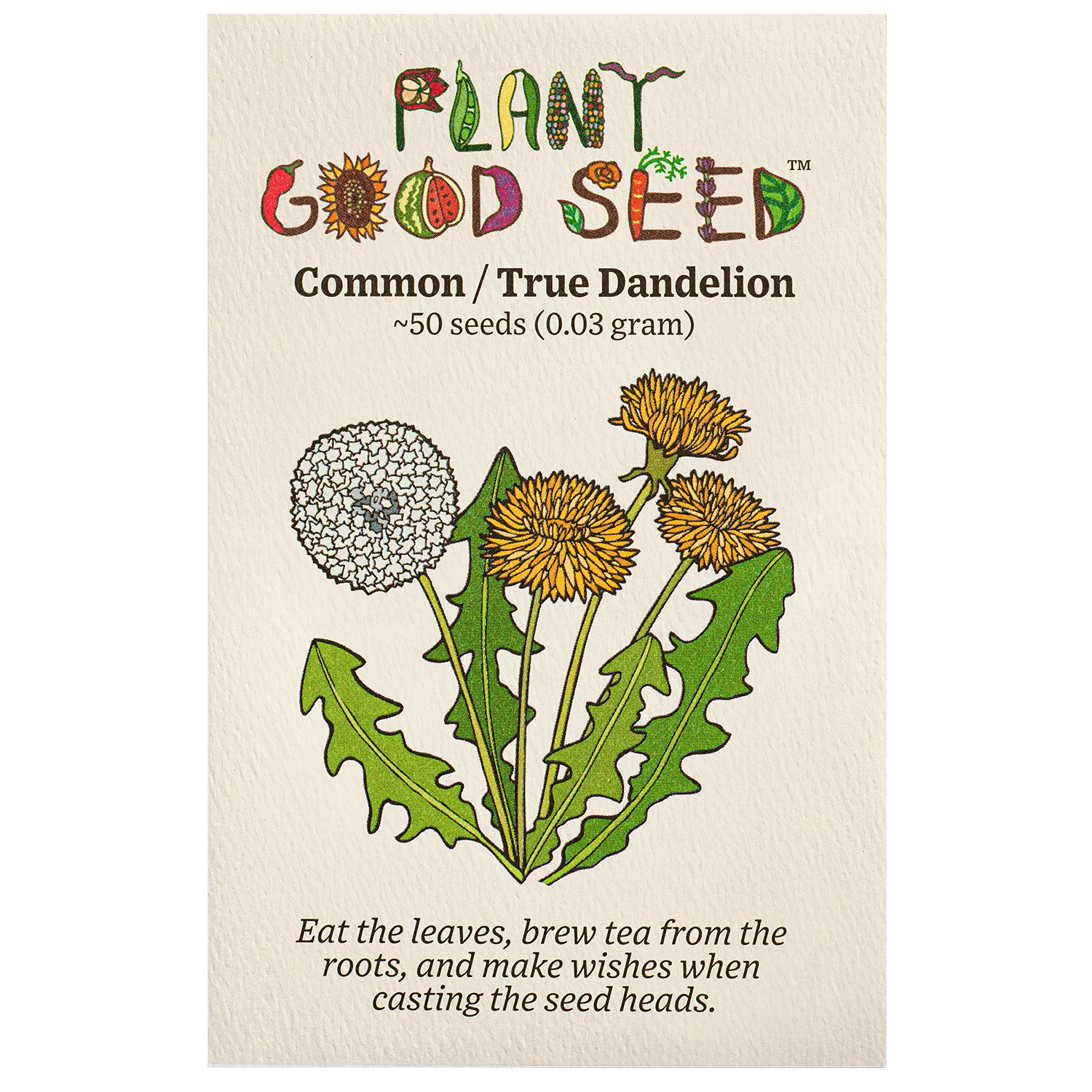 dandelion flower seeds True (Common/Wild) Dandelion Seeds