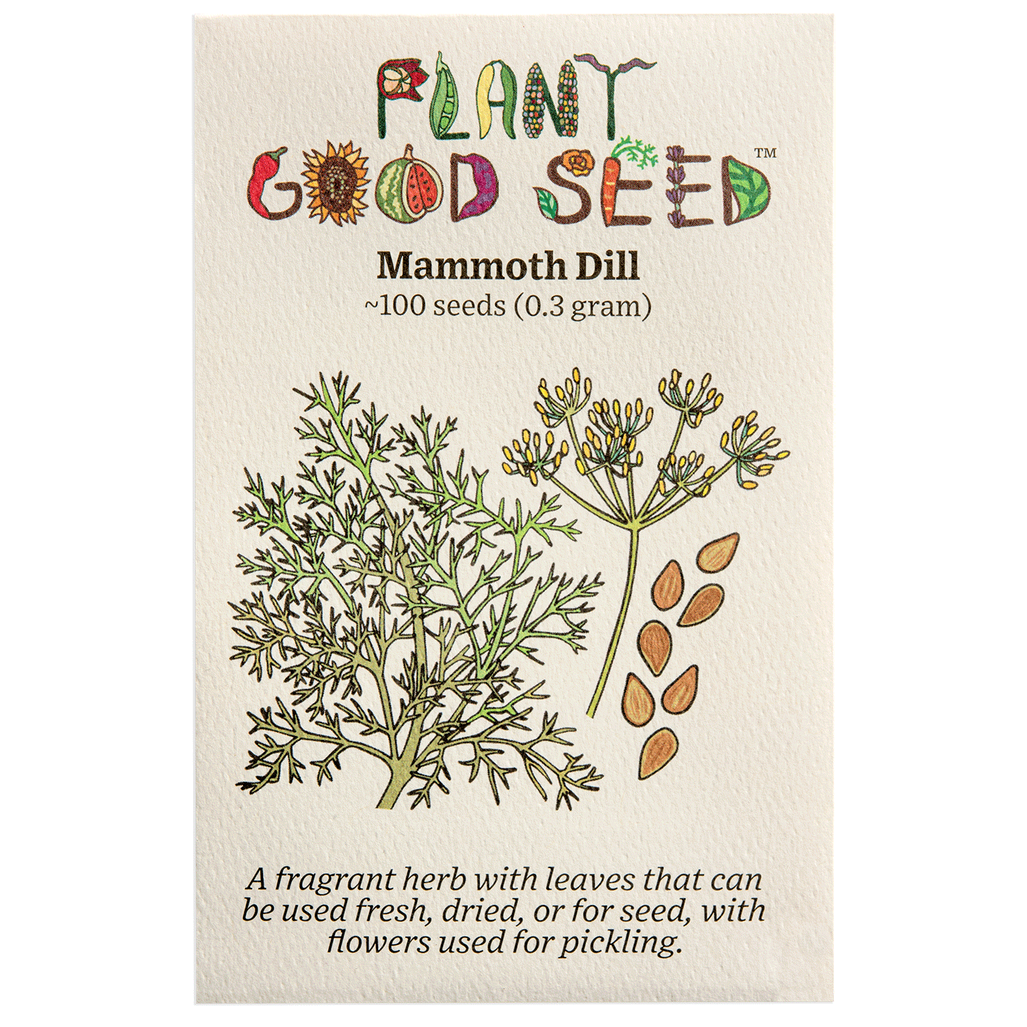 dill flower seeds Plant Good Seed Organic Seeds Mammoth Dill