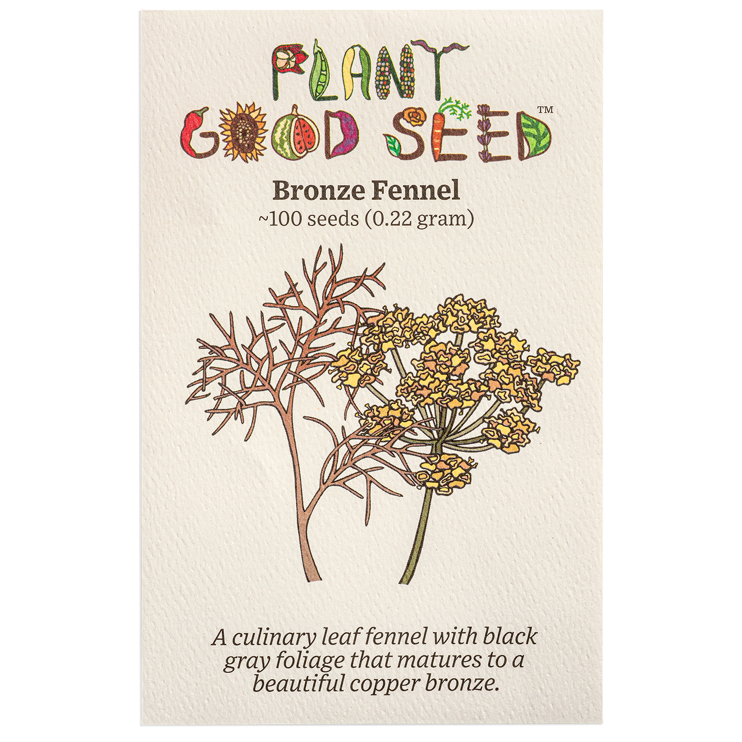 plant fennel seeds Bronze Fennel Seeds Packet: 100 Seeds (0.22 gram)