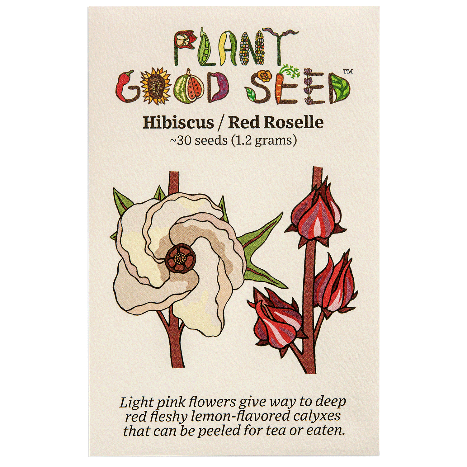 where are the seeds in a hibiscus plant Hibiscus sabdariffa Seeds