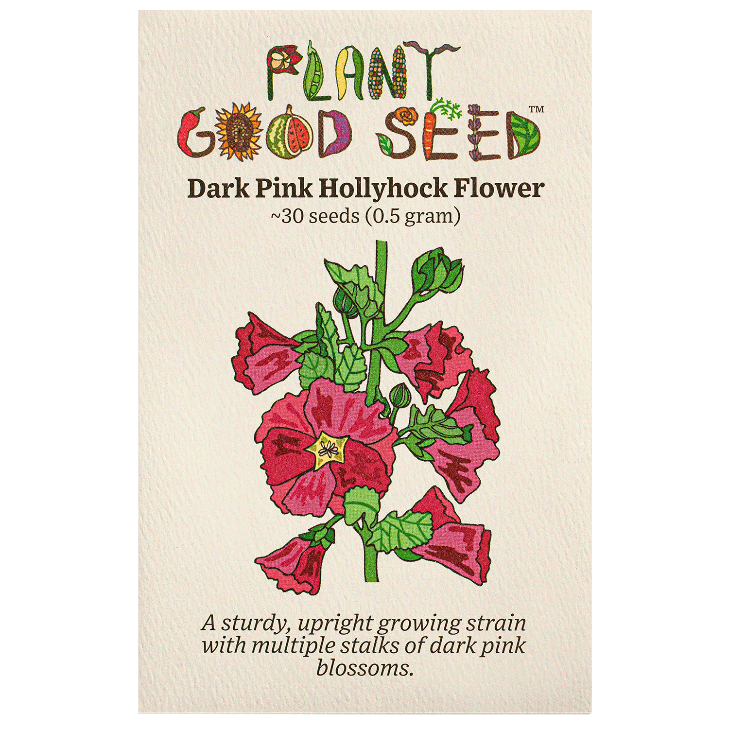 pink flower seed packets Dark Pink Hollyhock Flower Seeds