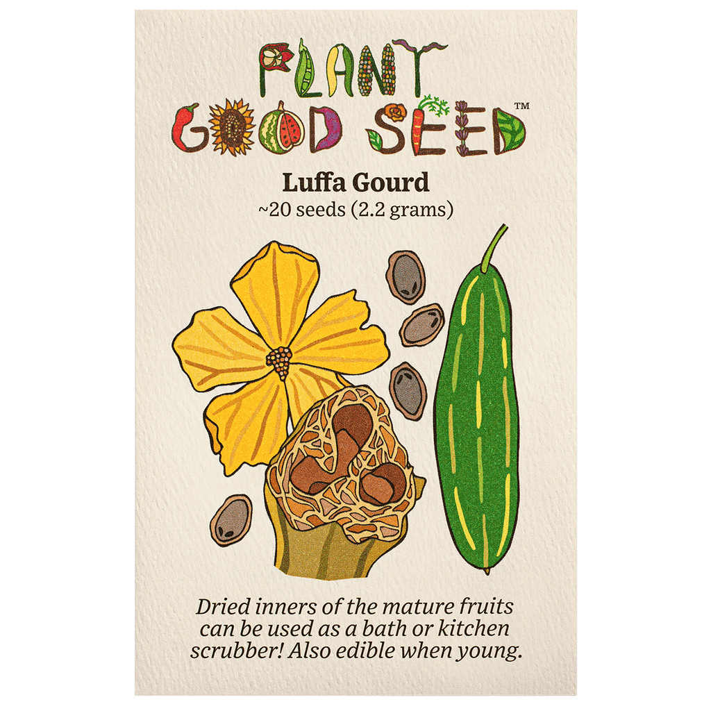 plant luffa seeds Luffa Gourd Seeds