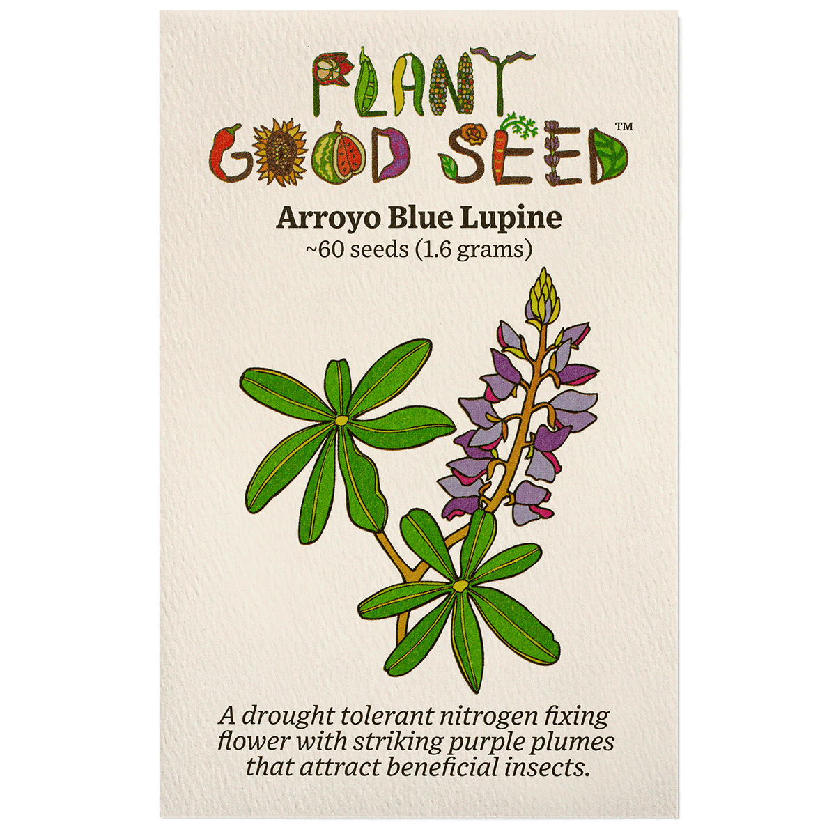 Arroyo Blue Lupine seed packet plant illustration