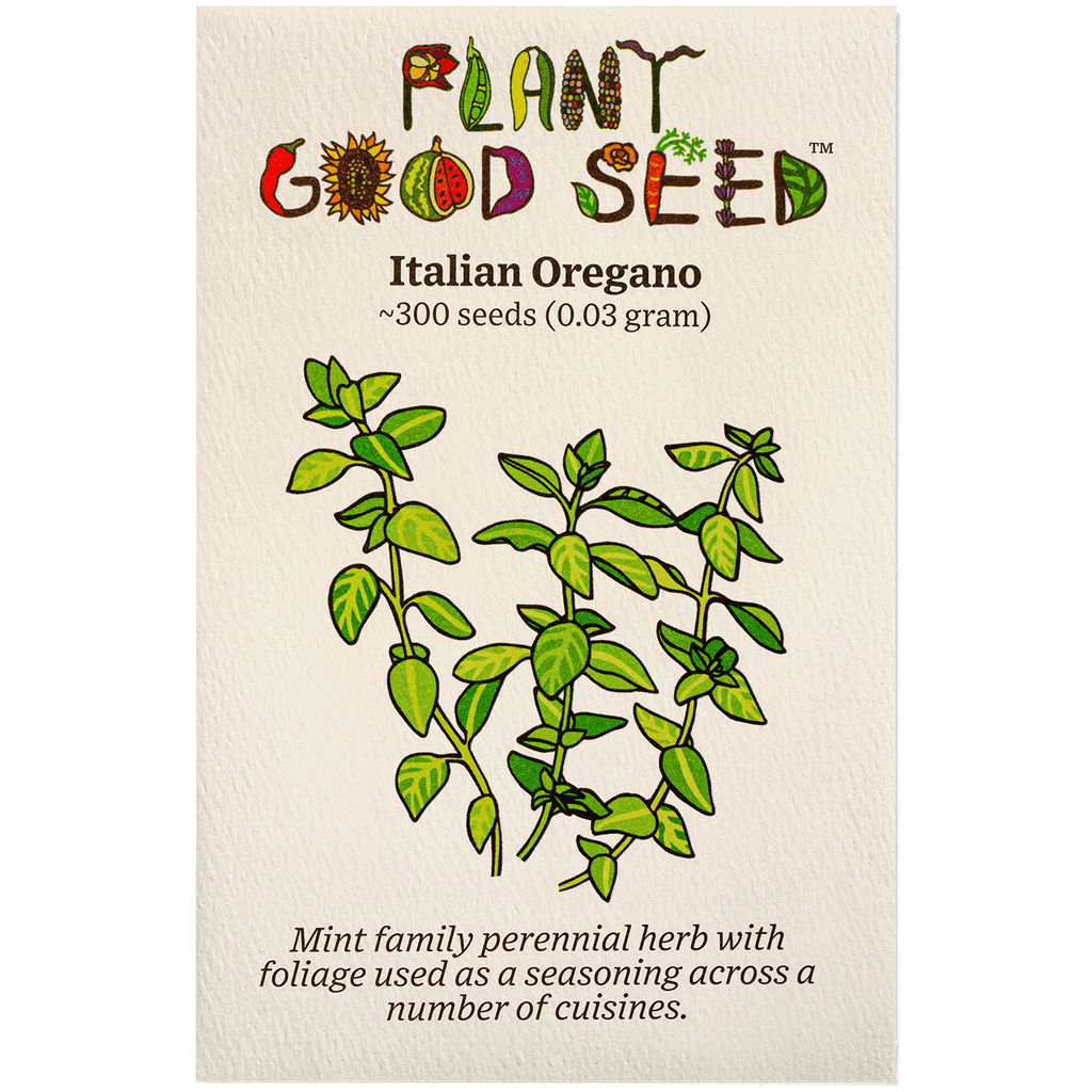 plant oregano seeds Italian Oregano Seeds