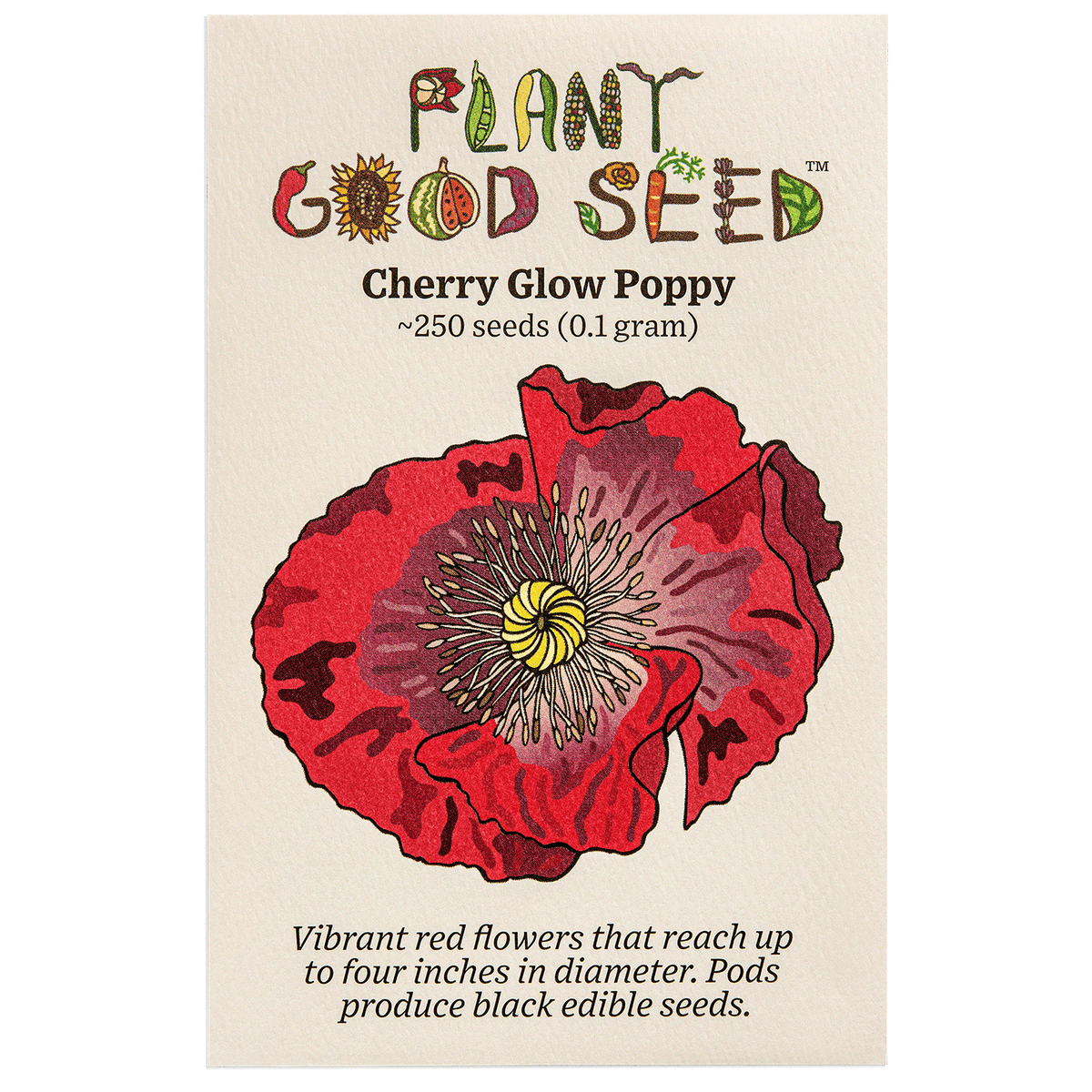 Cherry Glow Poppy