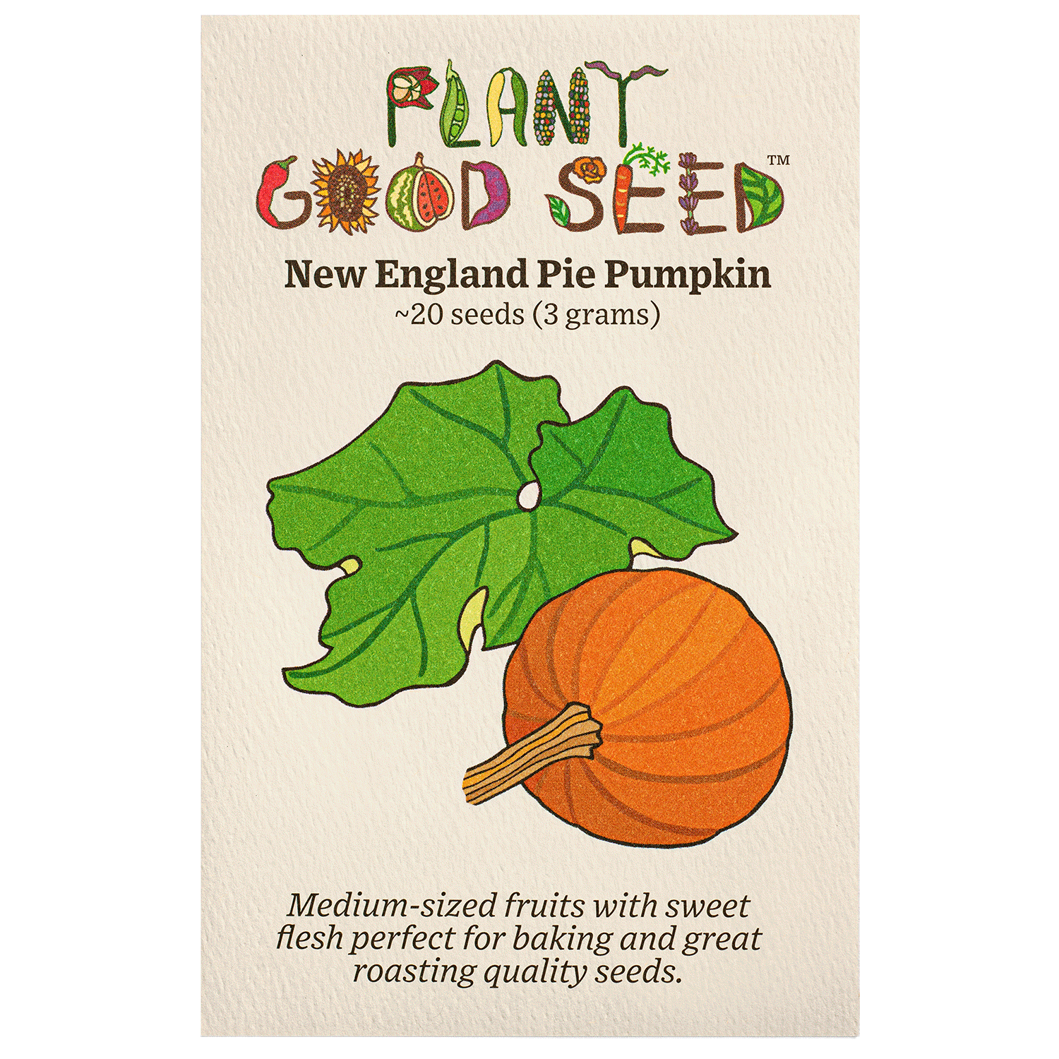 buy pumpkin seeds to plant New England Pie Pumpkin Seeds BULK: 150 Seeds (1 ounce), OG