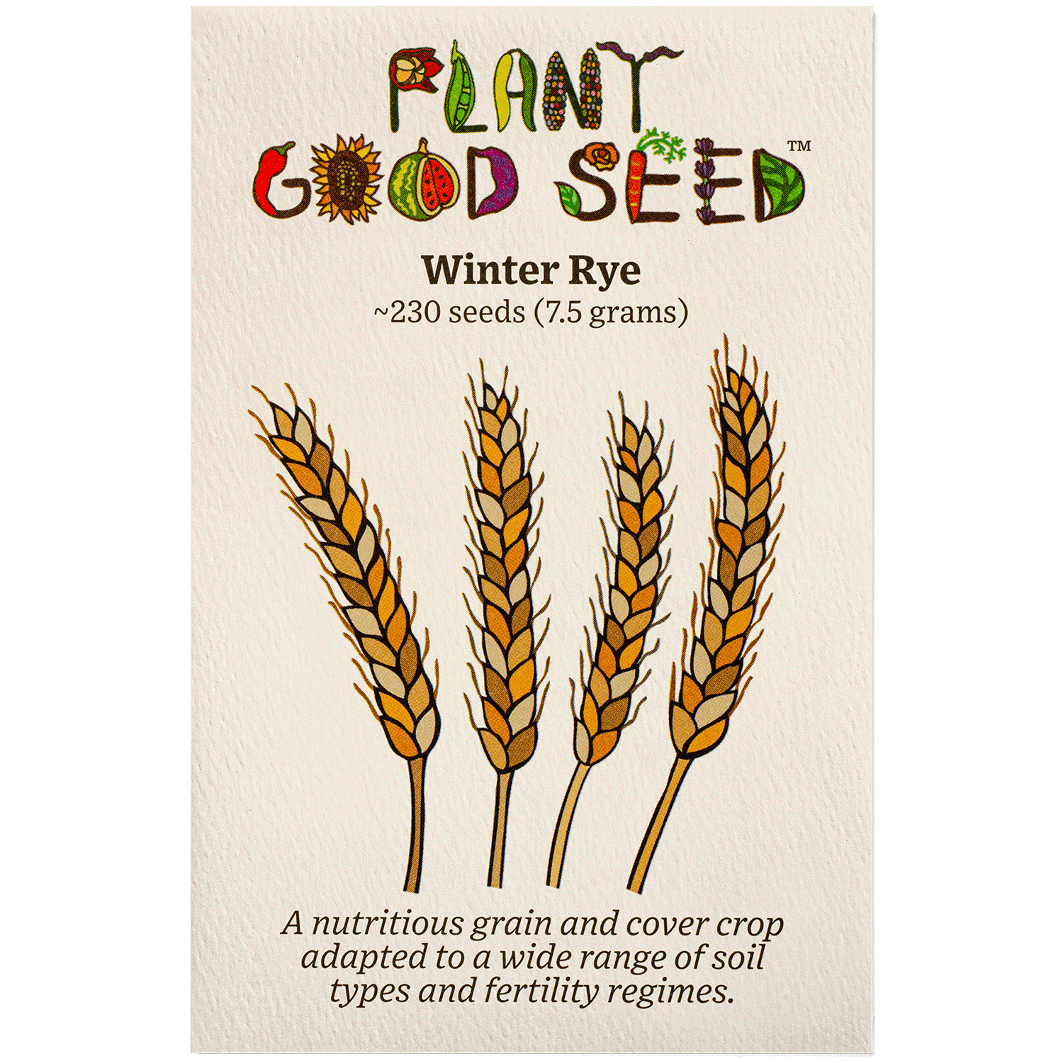 planting rye seed Plant Good Seed Company Rye
