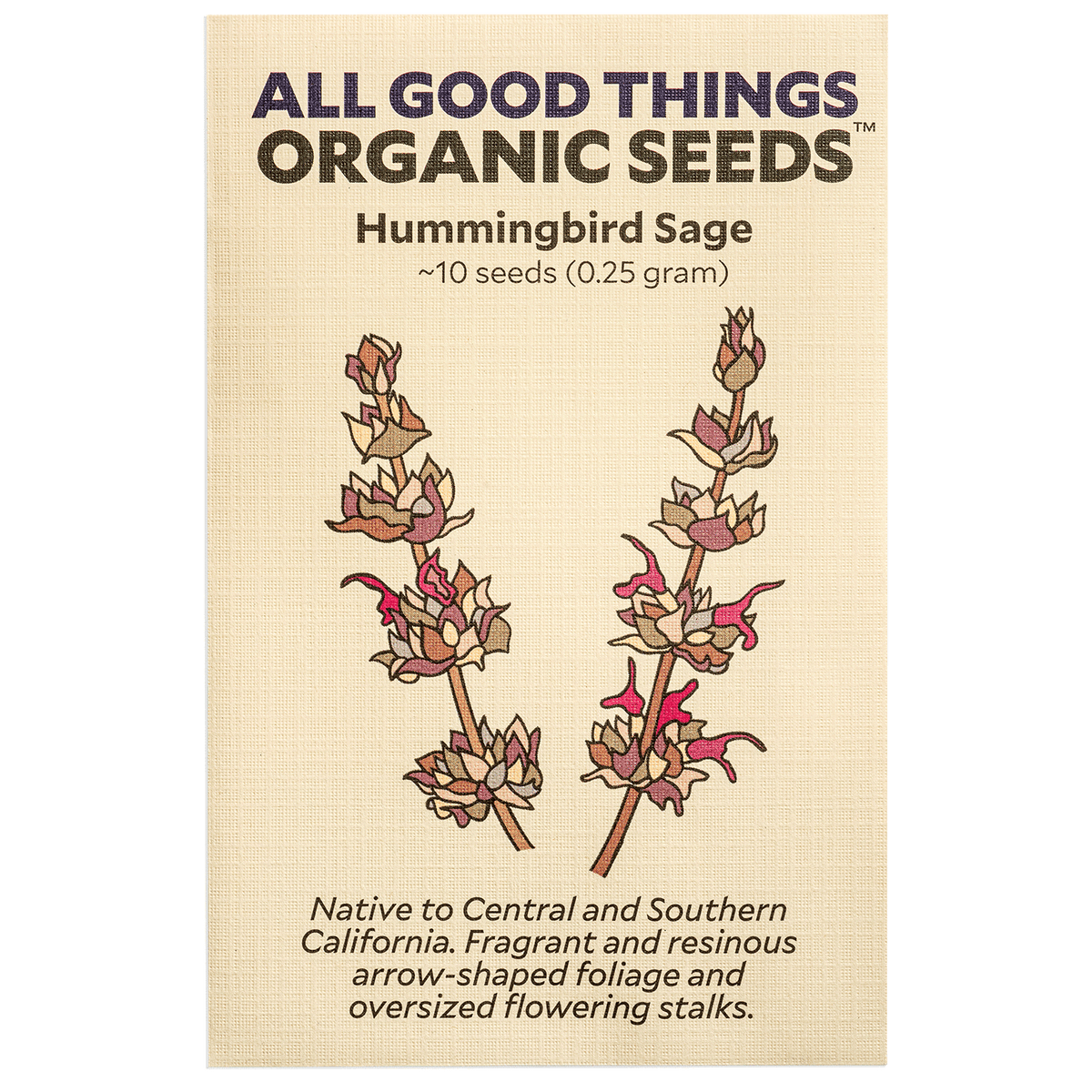 Hummingbird Sage