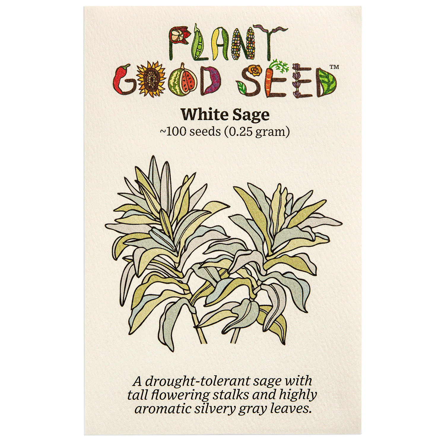 sage plant from seed White Sage Seeds