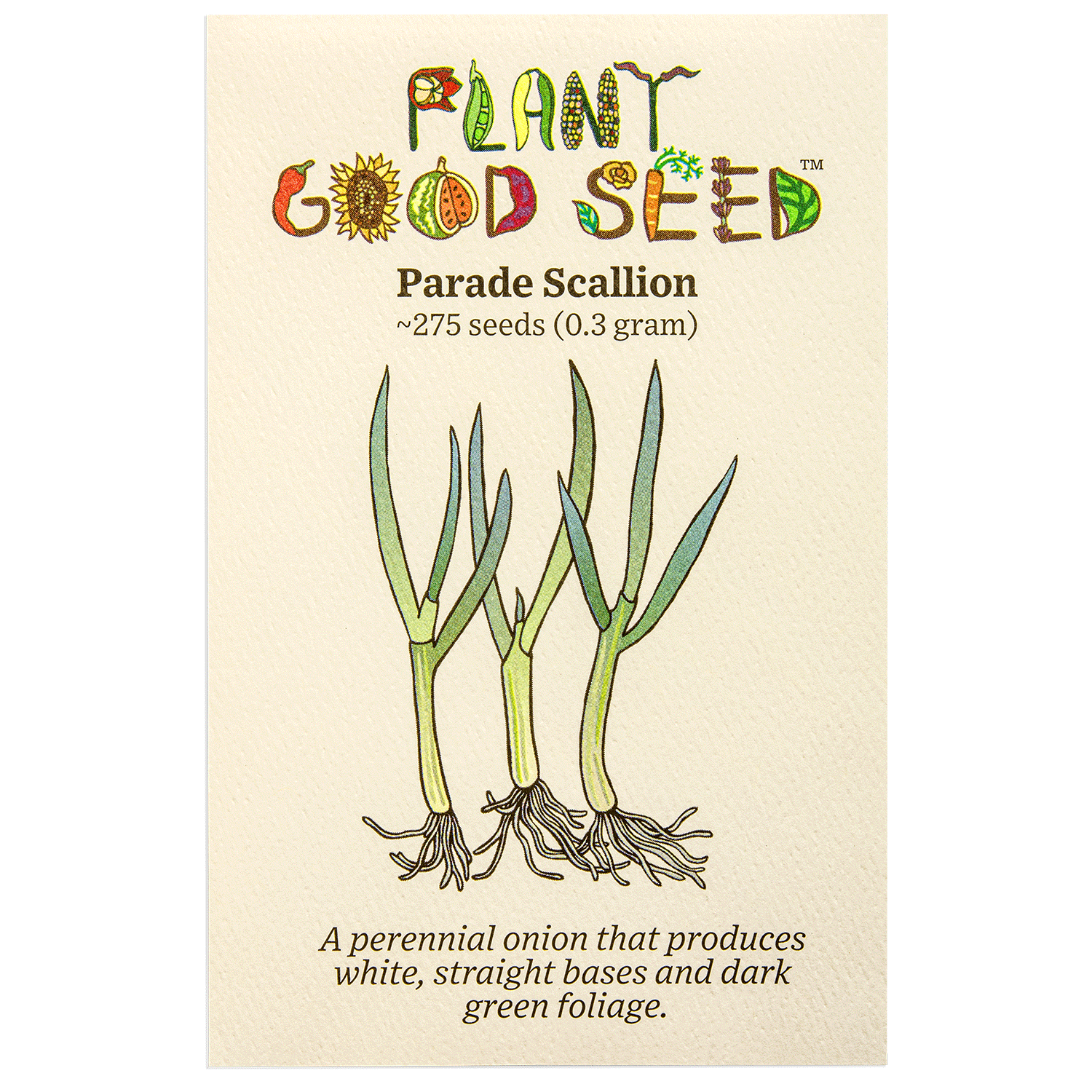 scallion flower seeds Parade Scallion Seeds Packet: 275 Seeds (0.3 gram)