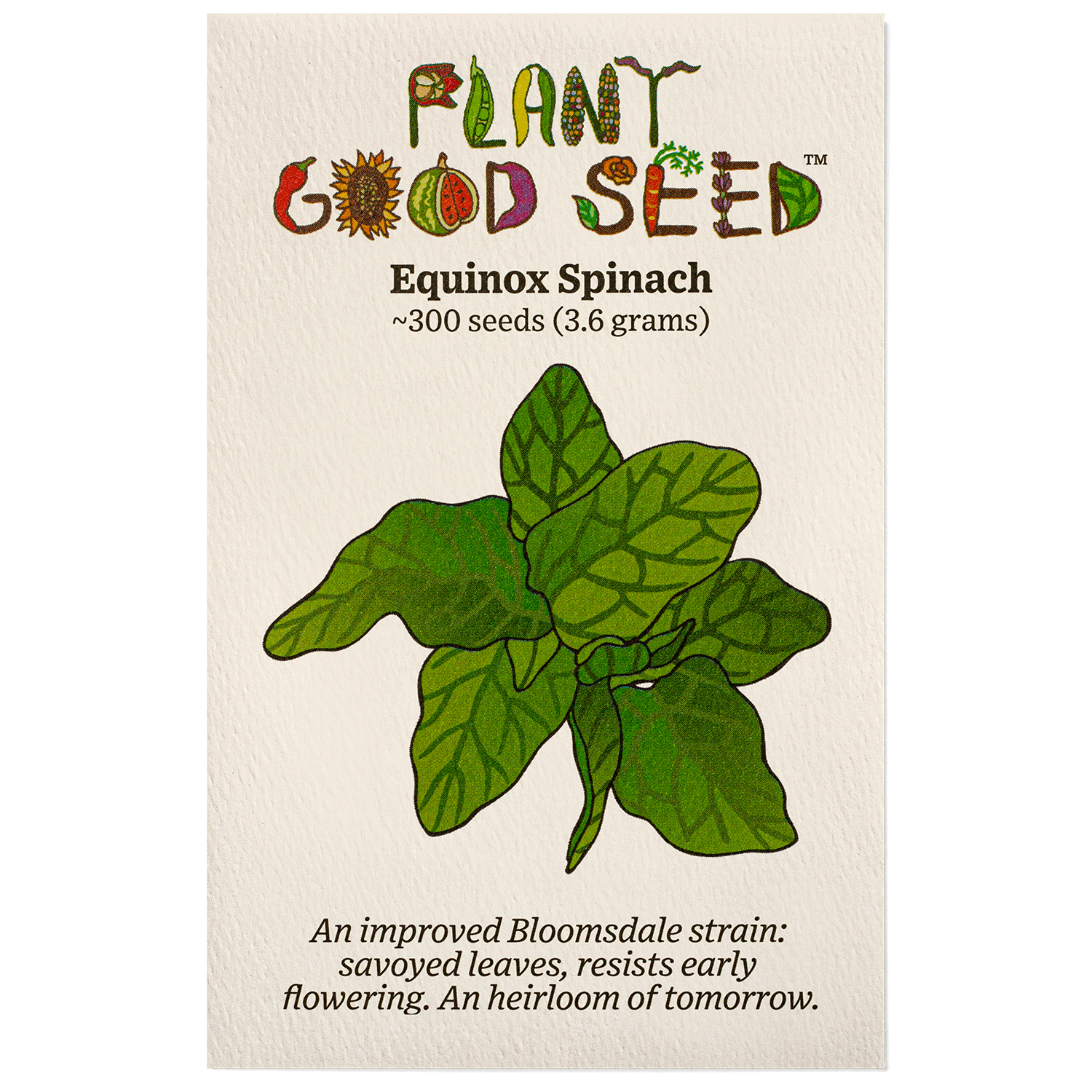 spinach seeds to plant Plant Good Seed Equinox Spinach Seeds: Full Sun Usda Organic Heirloom Cold Hardy Non-GMO USA Grown