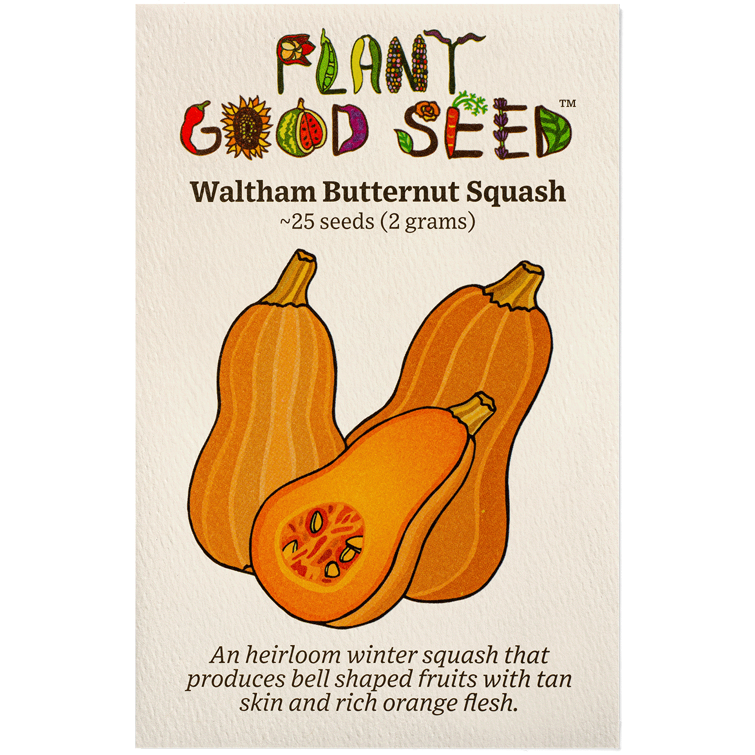 plant squash seeds Waltham Butternut Winter Squash Seeds Packet: 25 Seeds (2 grams), OG