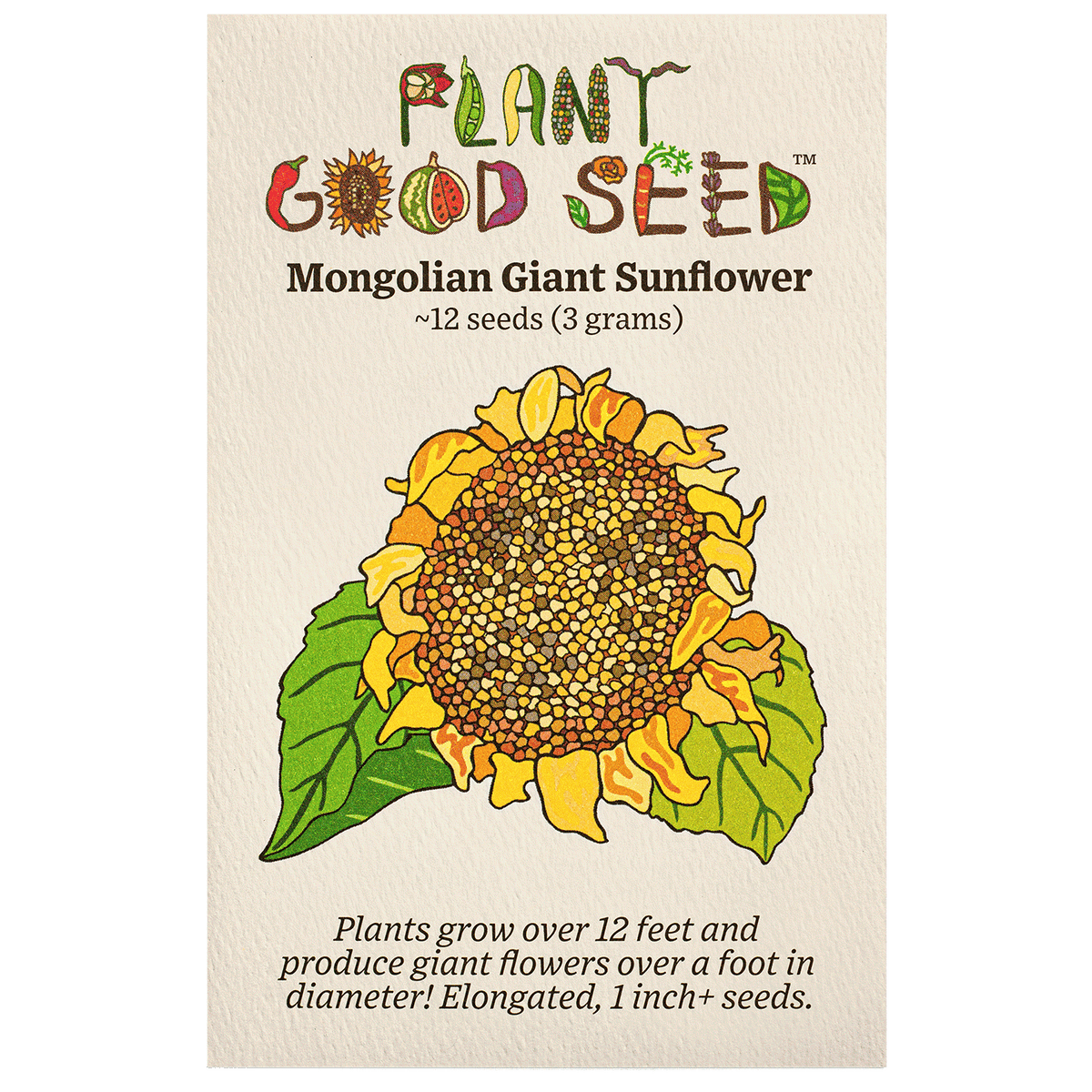 Mongolian Giant Sunflower