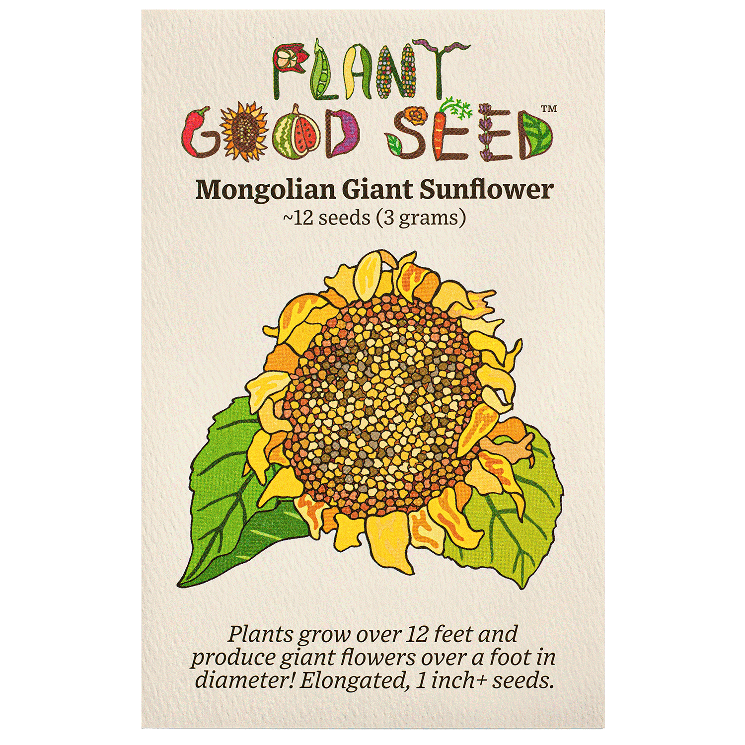 giant flower seeds Mongolian Giant Sunflower BULK: 175 seeds (1 ounce), OG