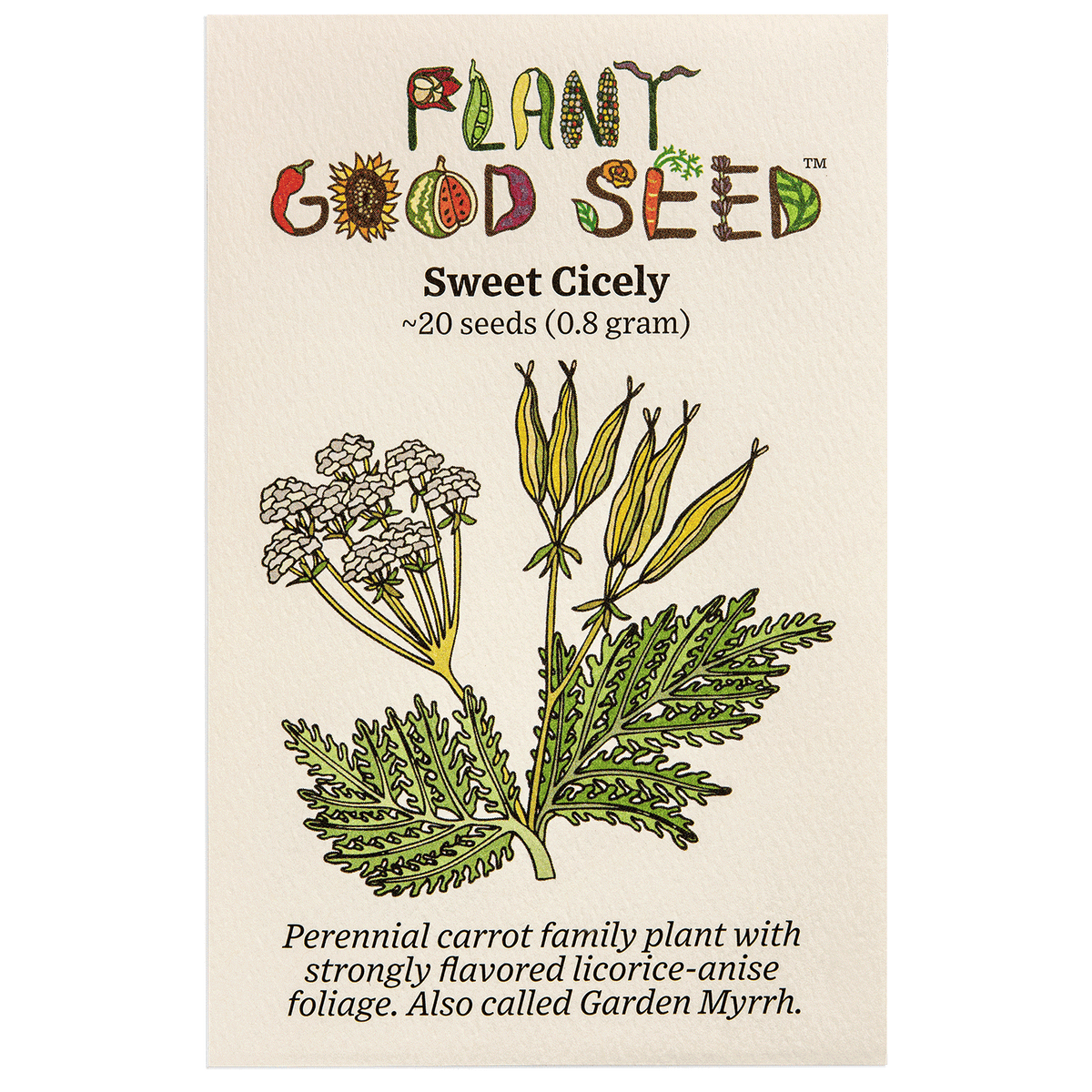 Sweet Cicely / Garden Myrrh