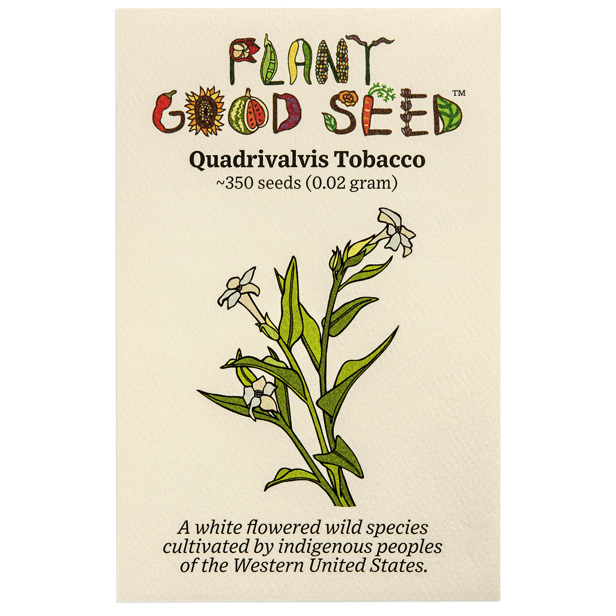 Nicotiana quadrivalvis Tobacco Seeds - The Plant Good Seed Company