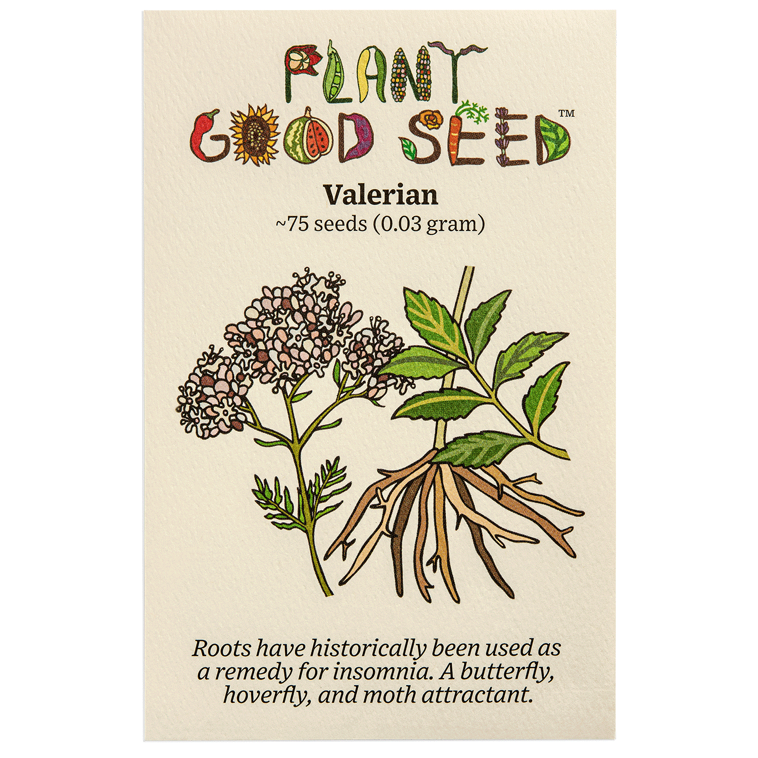 planting valerian seeds Valerian Seeds / Official Valerian Seeds