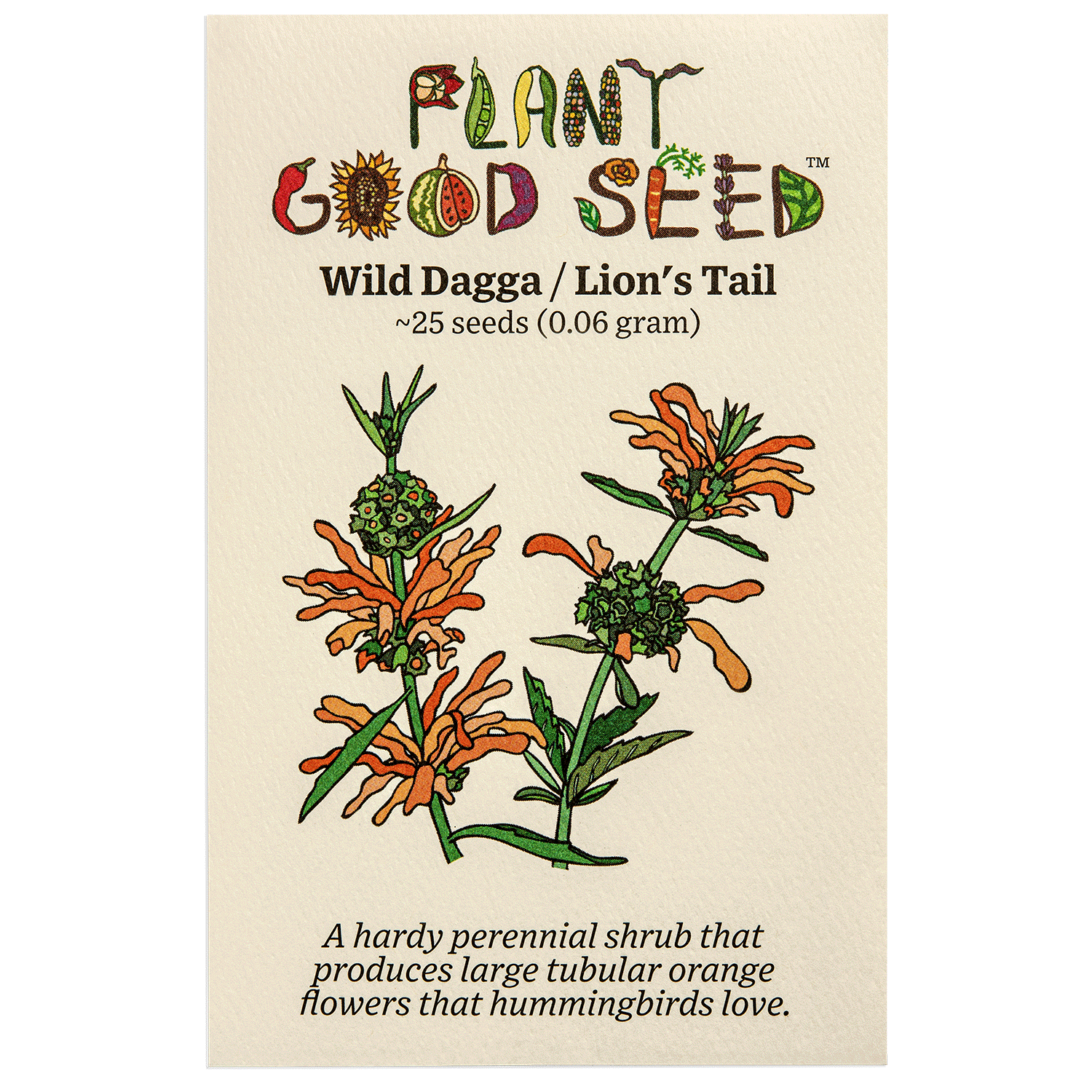 lion's tail plant seeds Wild Dagga / Lion's Tail Seeds