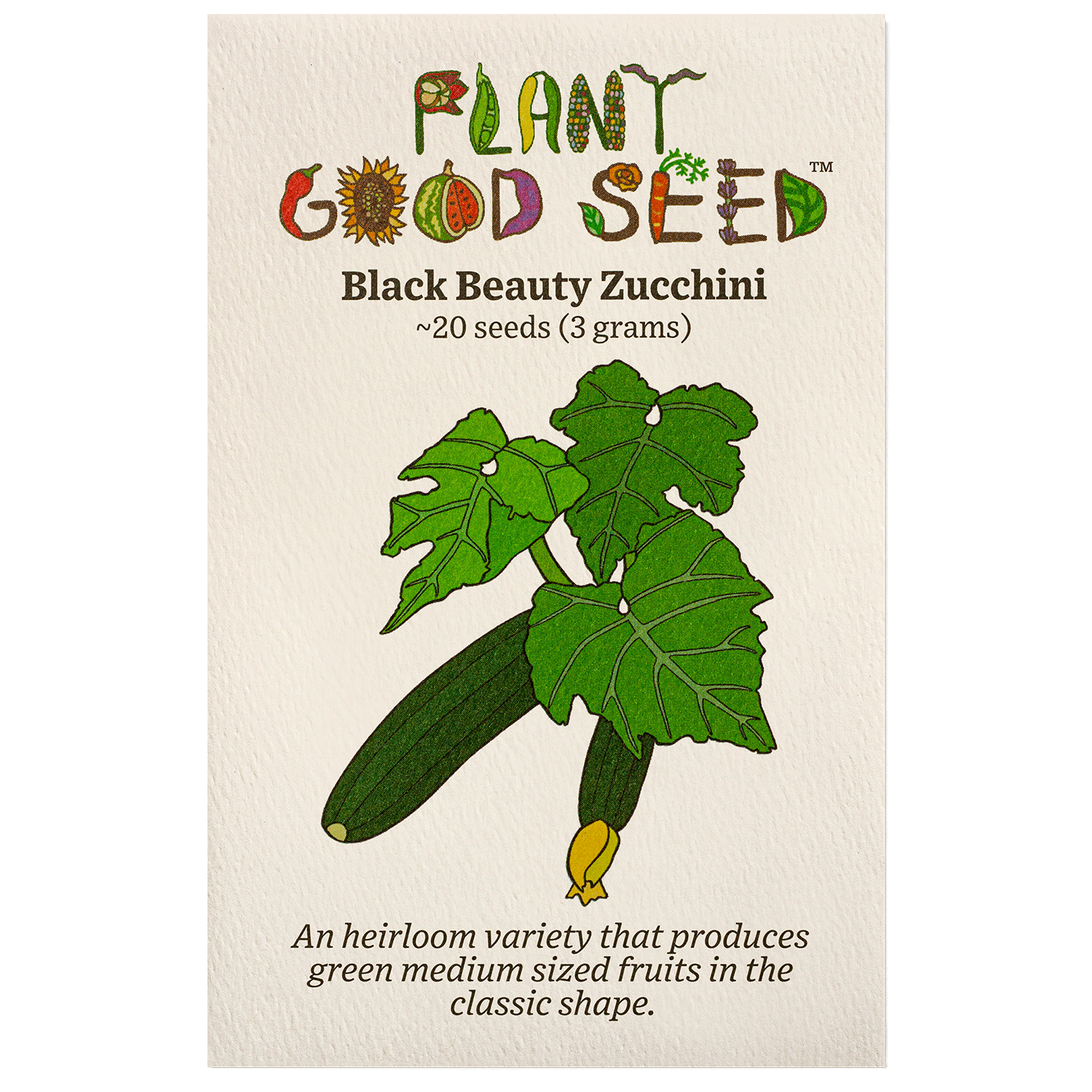 zucchini plant seeds Organic Black Beauty Zucchini Seed Packet