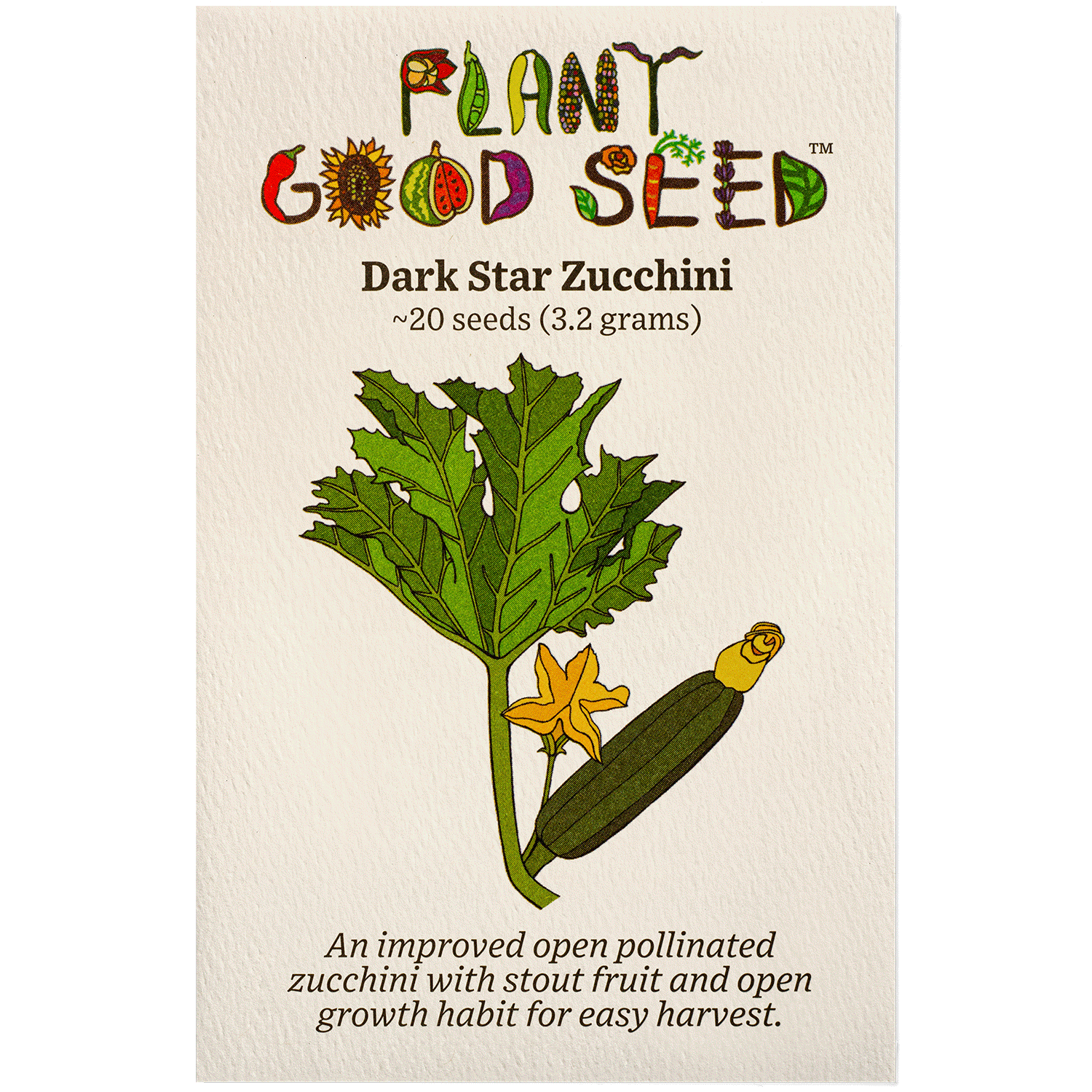 zucchini plant seeds Dark Star Zucchini